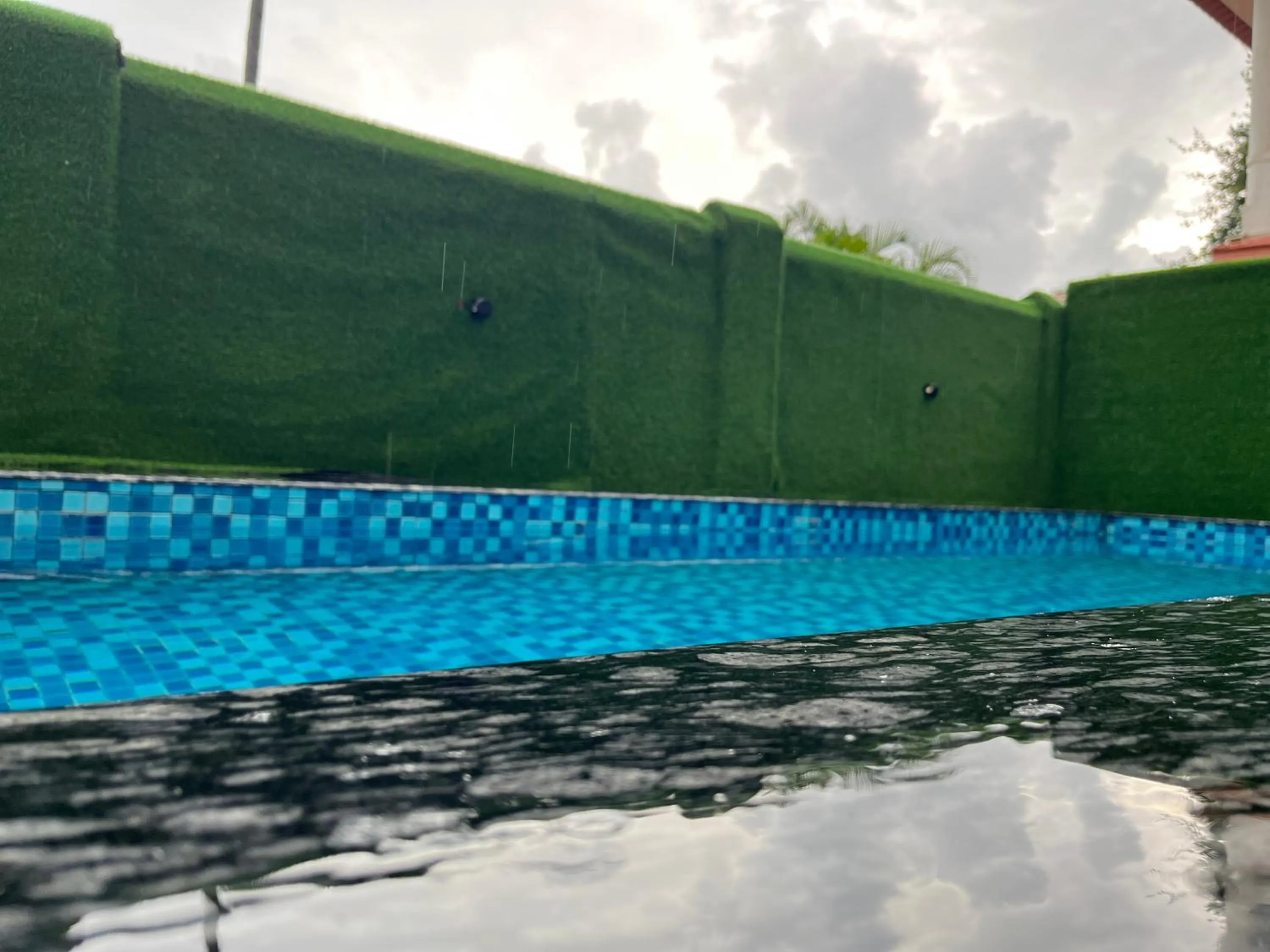 Day, Swimming Pool in The Terra Hotel North Goa