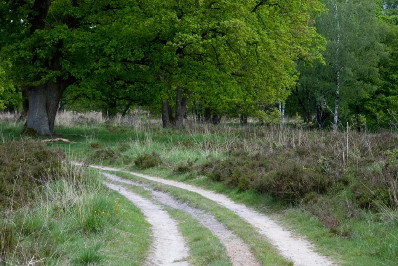 Romantik Hotel Kasteel Daelenbroeck