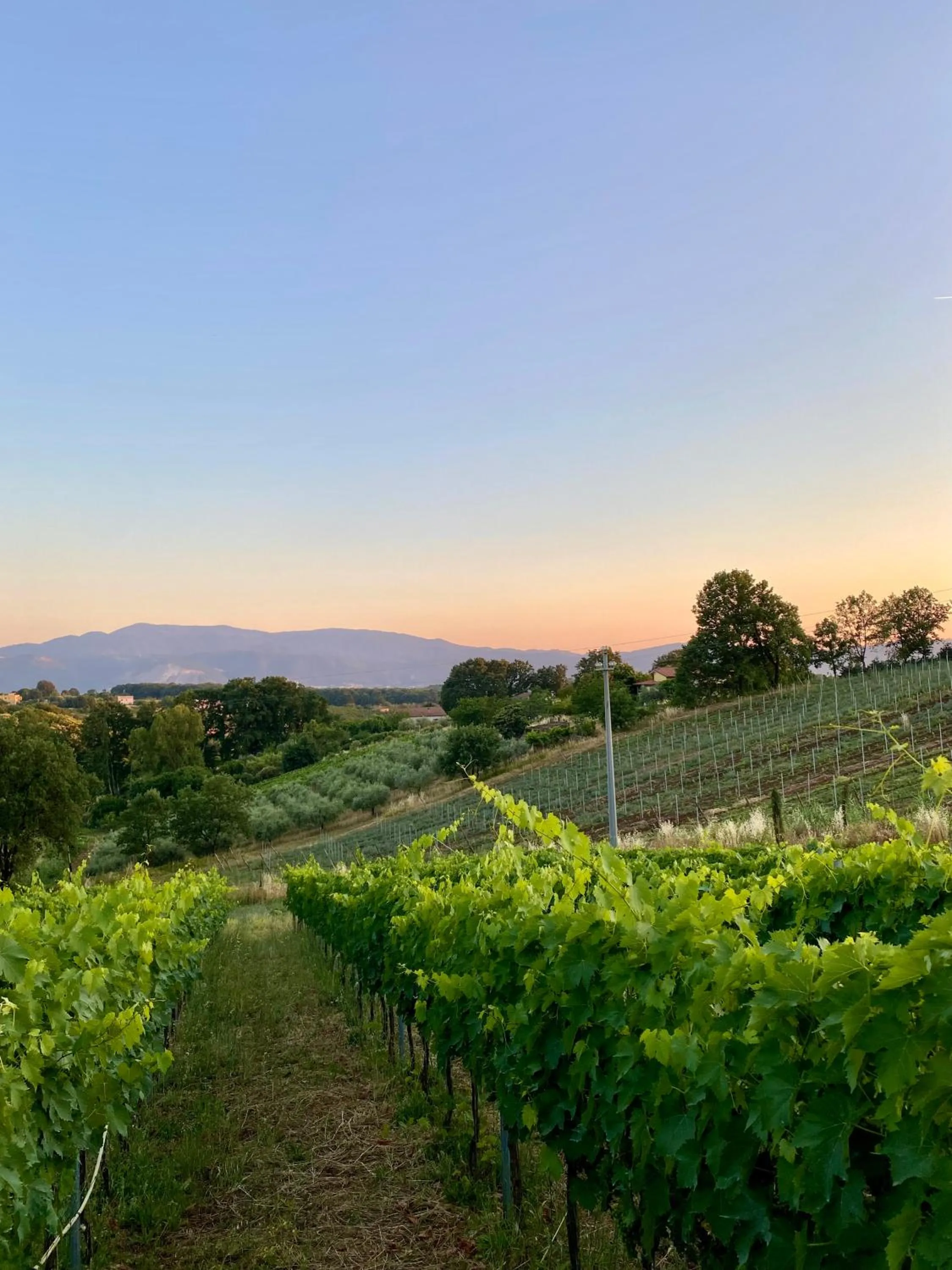 Day in Donna Vittori - Borgo Agricolo