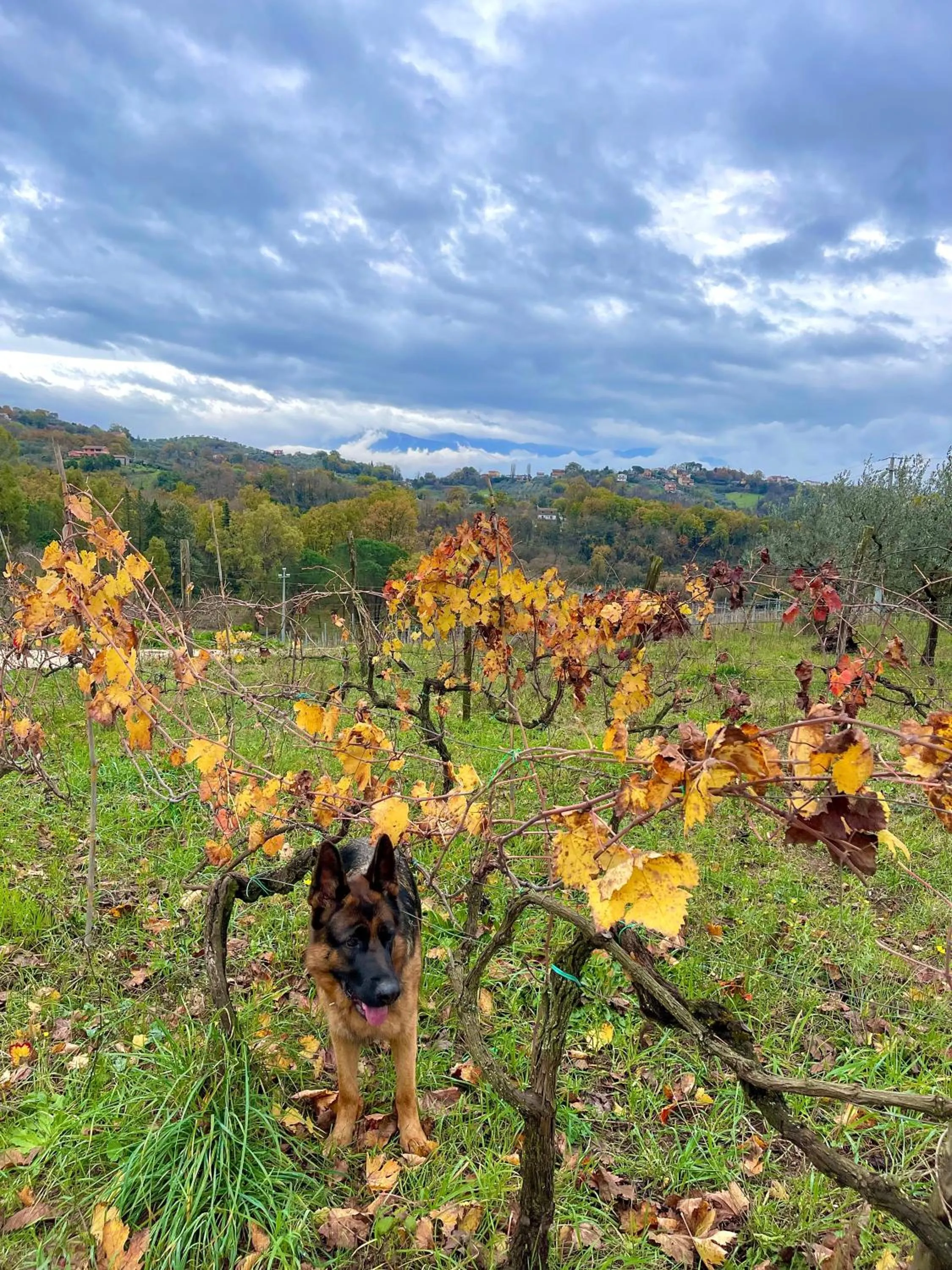 Day in Donna Vittori - Borgo Agricolo