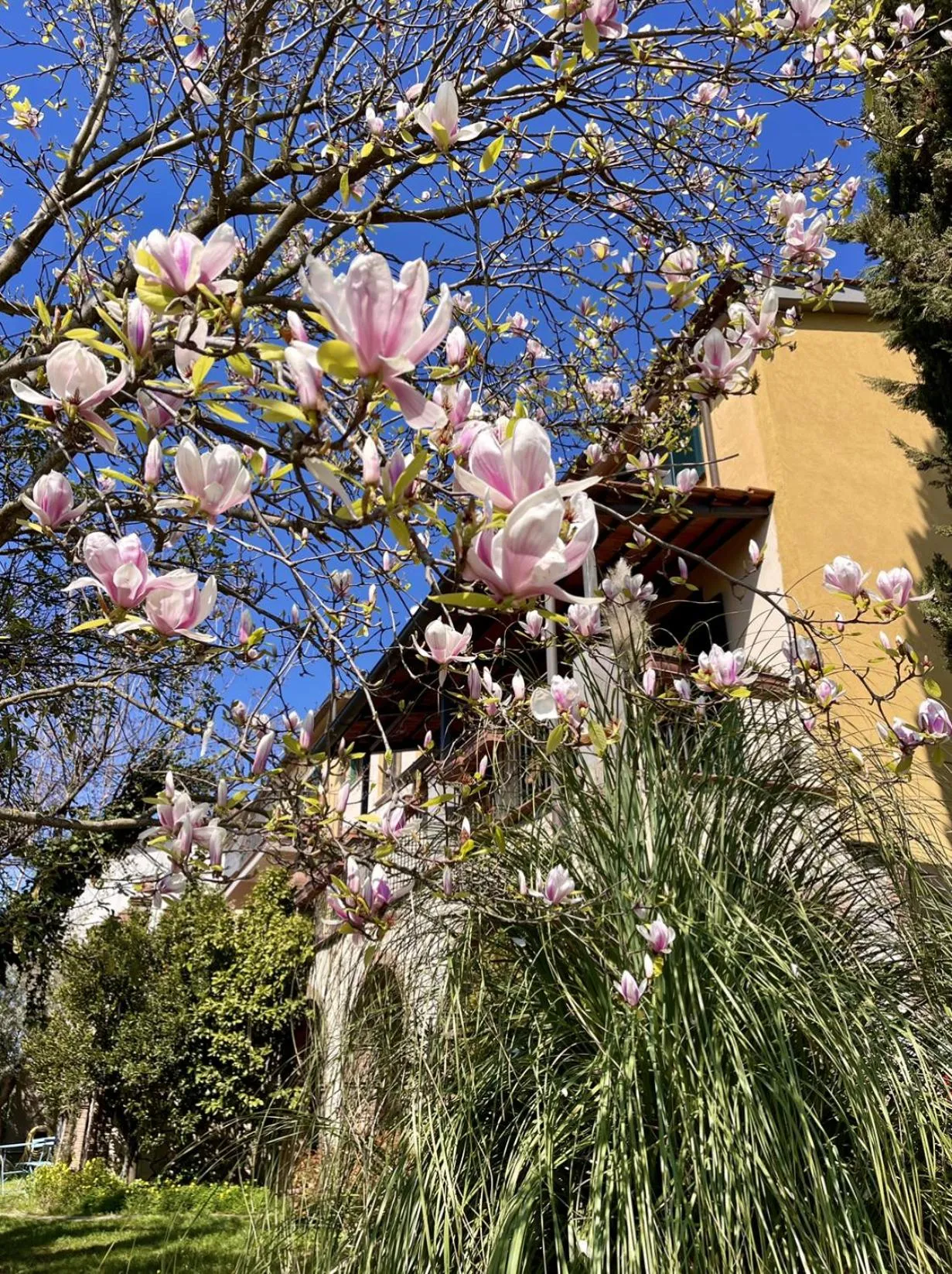 Spring in Donna Vittori - Borgo Agricolo