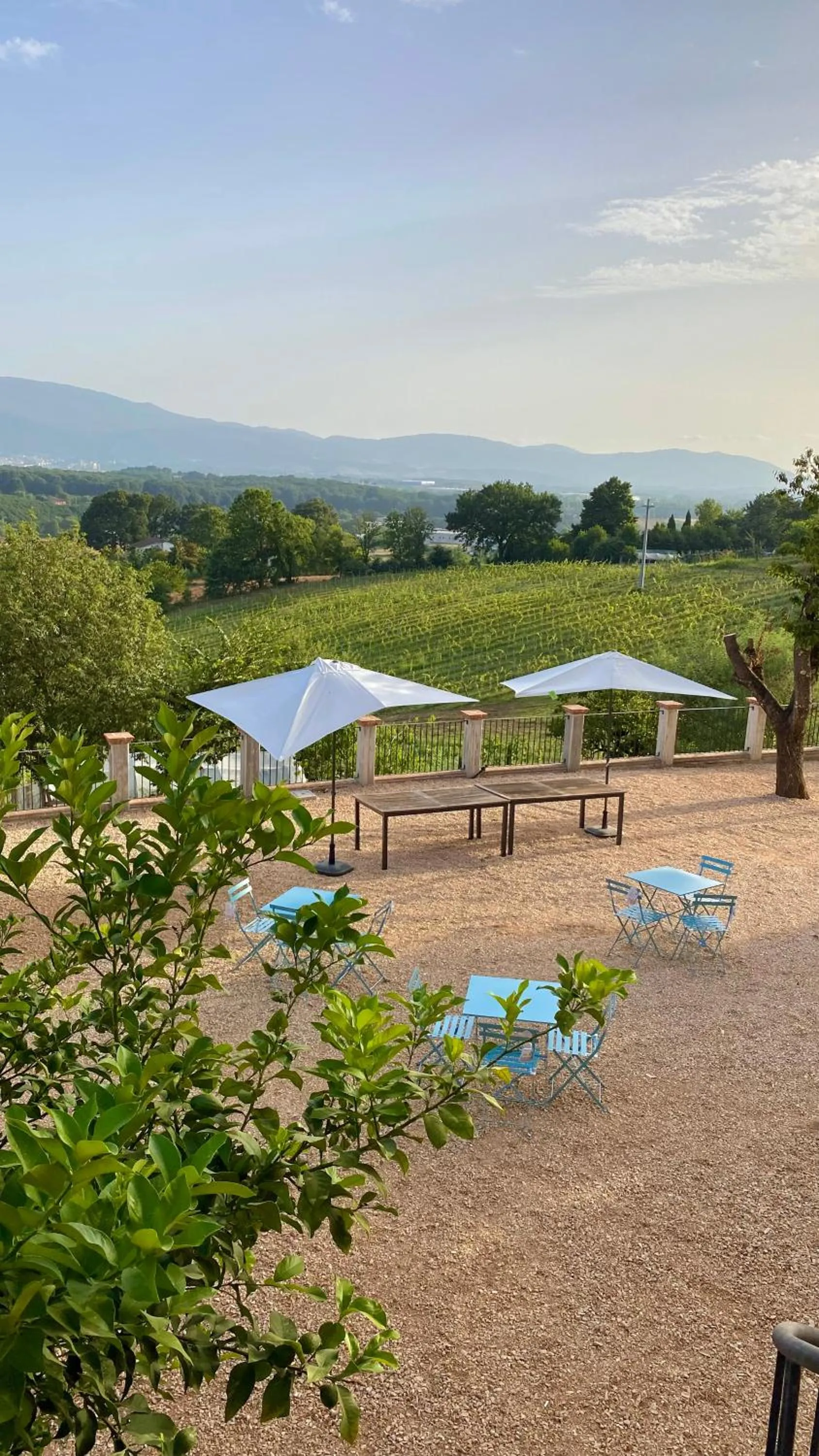 Day in Donna Vittori - Borgo Agricolo