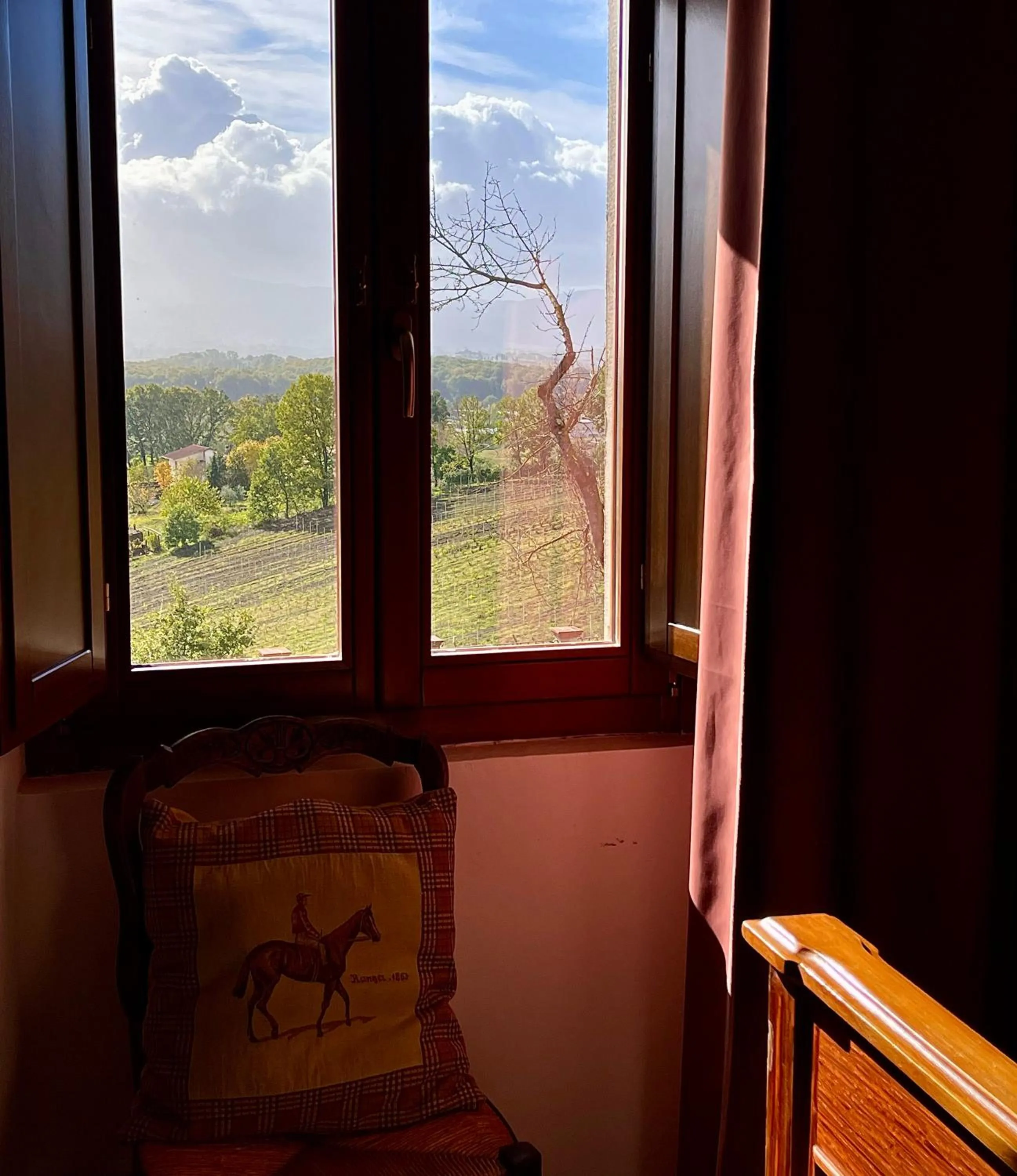 View (from property/room) in Donna Vittori - Borgo Agricolo