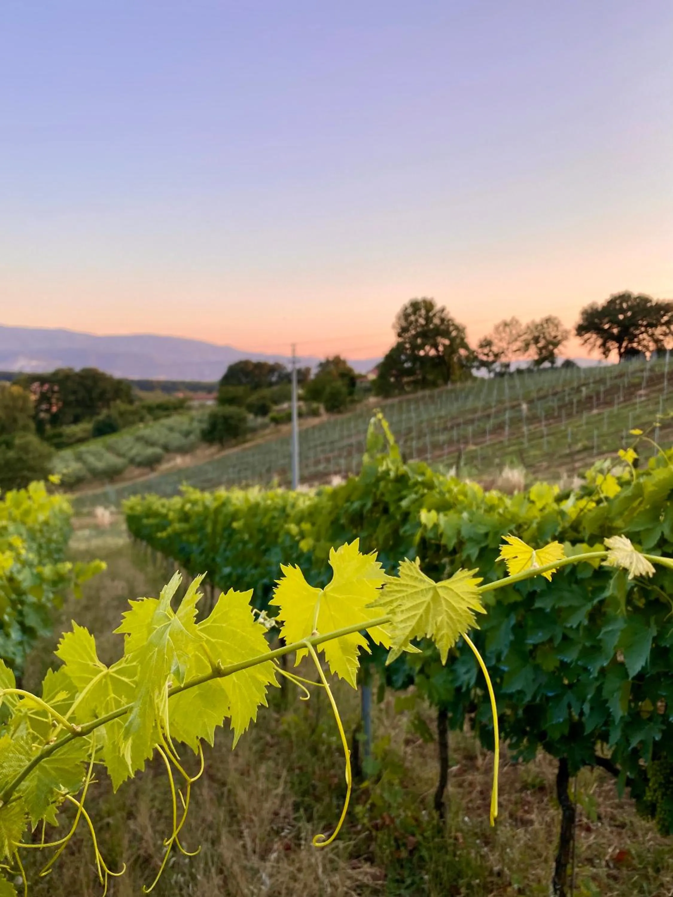 Day in Donna Vittori - Borgo Agricolo