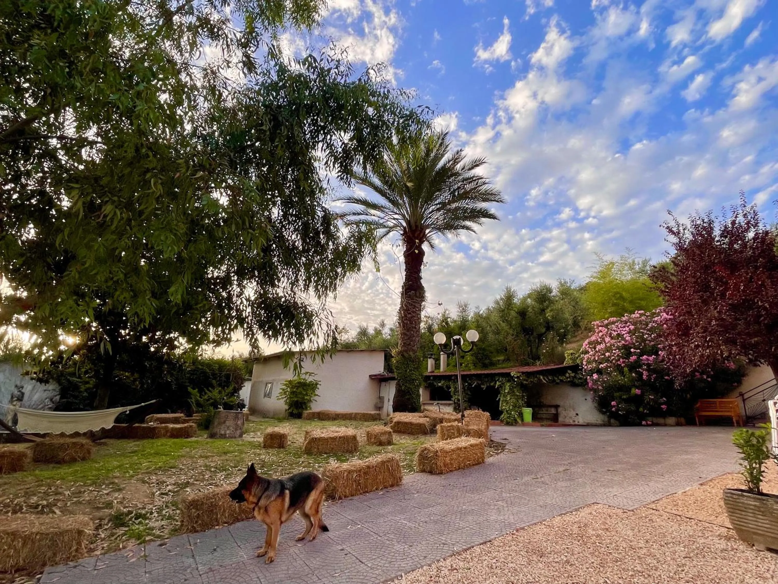 Day in Donna Vittori - Borgo Agricolo