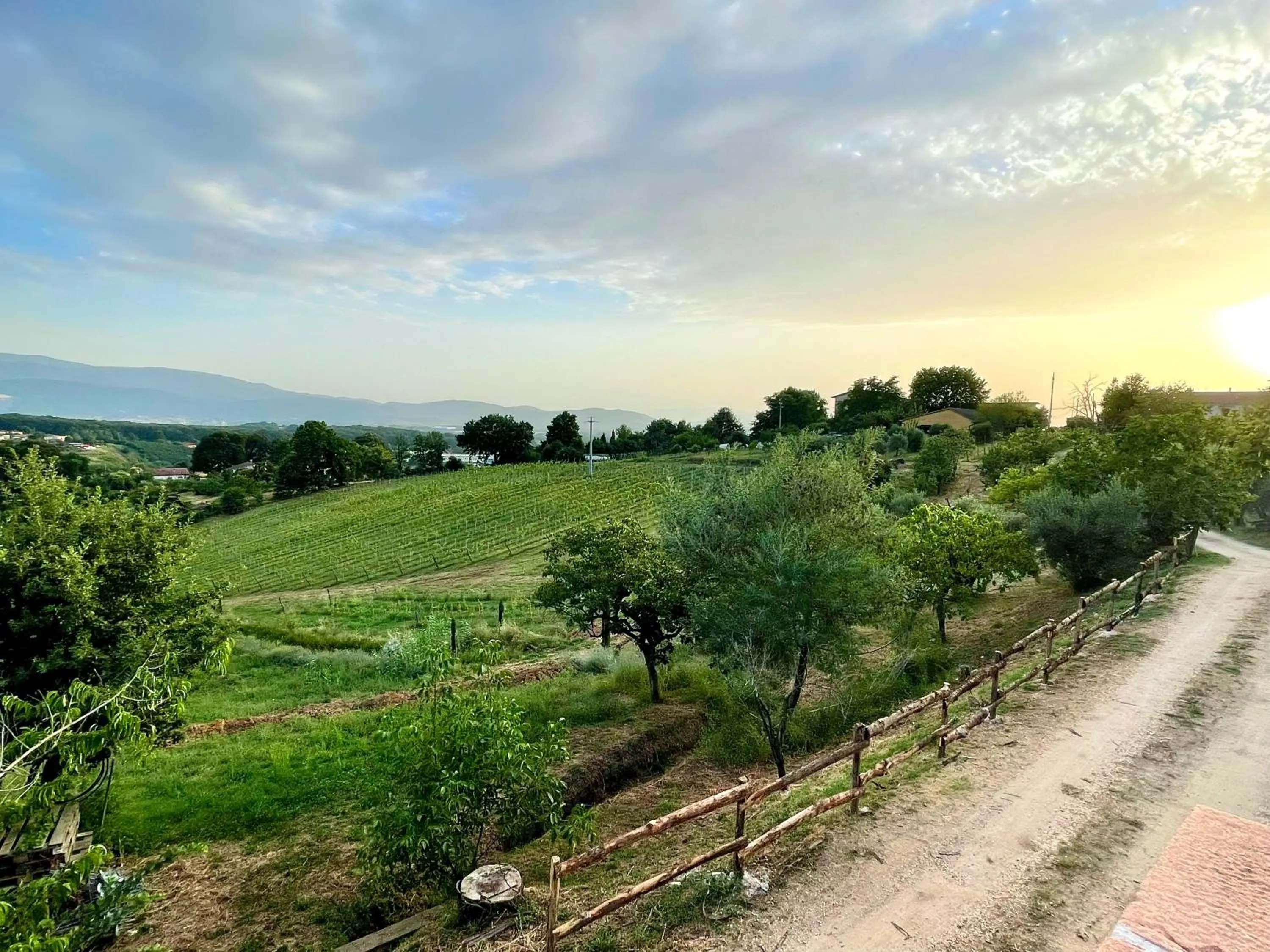 Spring in Donna Vittori - Borgo Agricolo