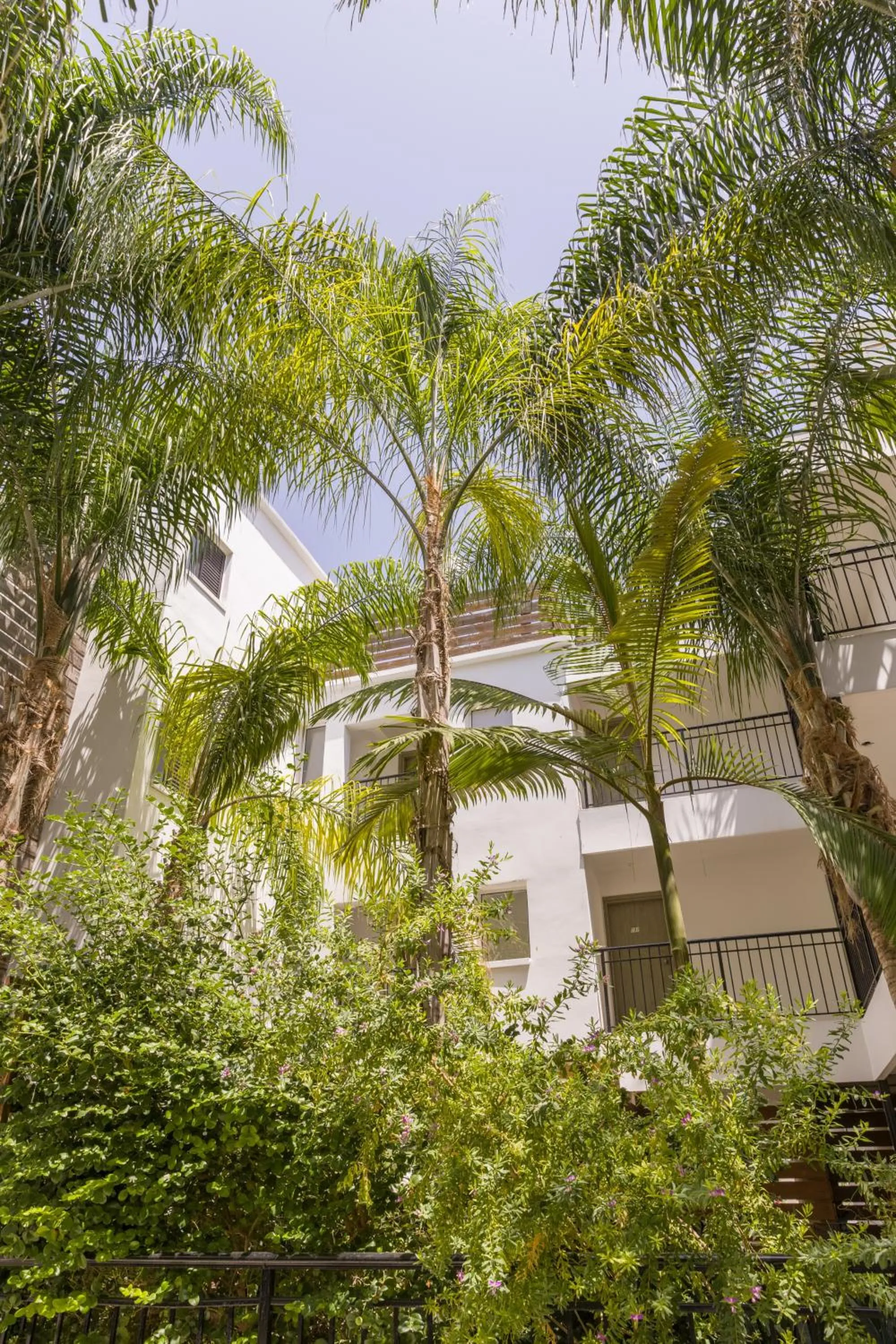 Garden view in Alecos Hotel Apartments