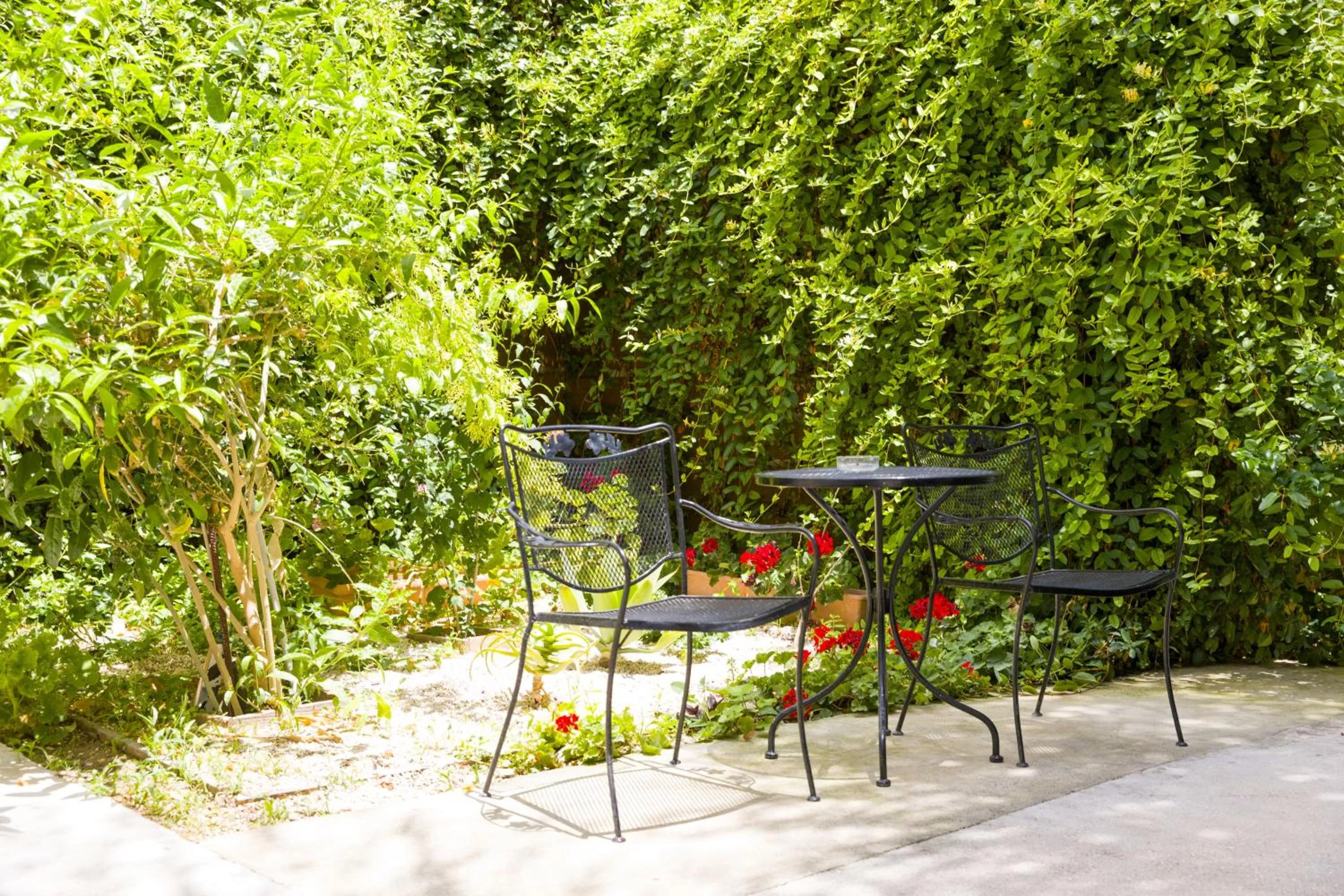 Garden in Alecos Hotel Apartments