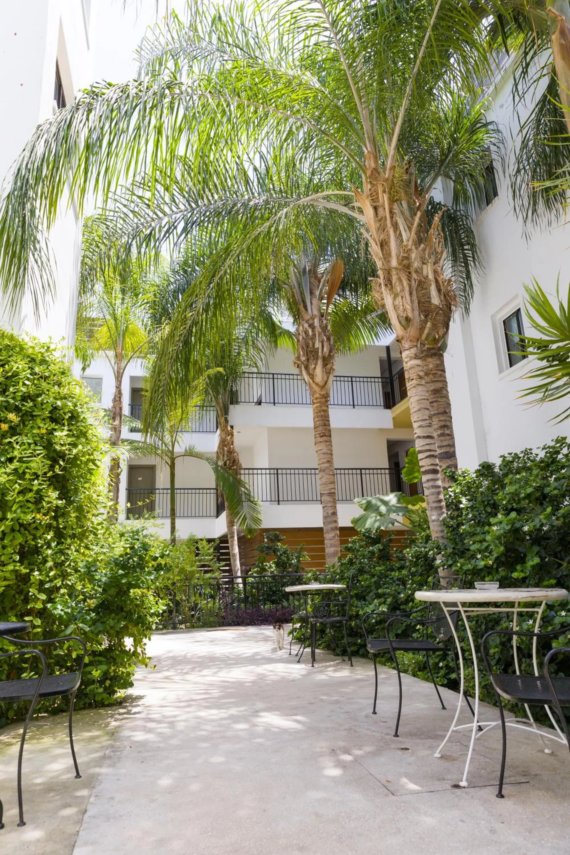 Garden in Alecos Hotel Apartments