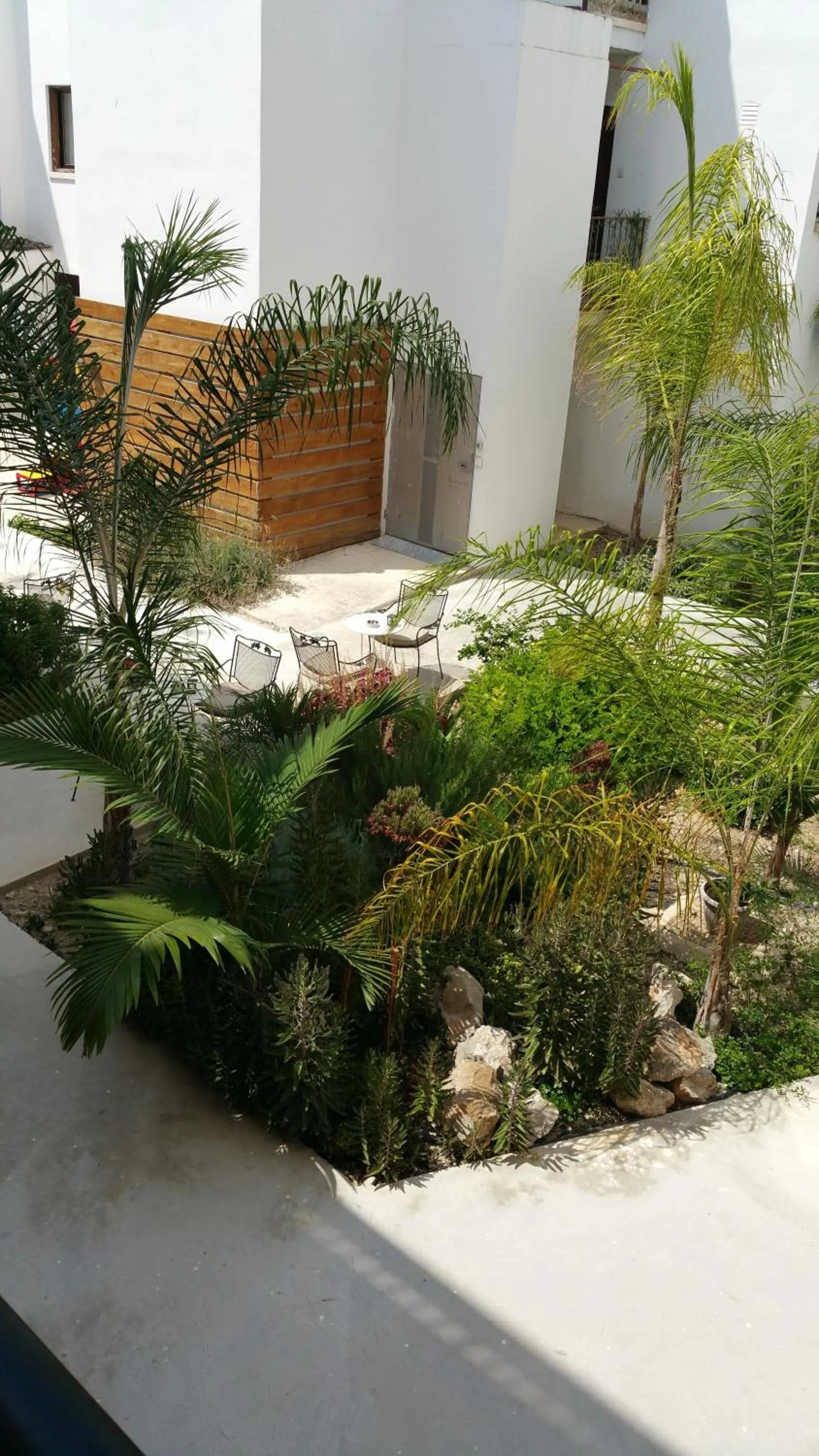 Garden in Alecos Hotel Apartments