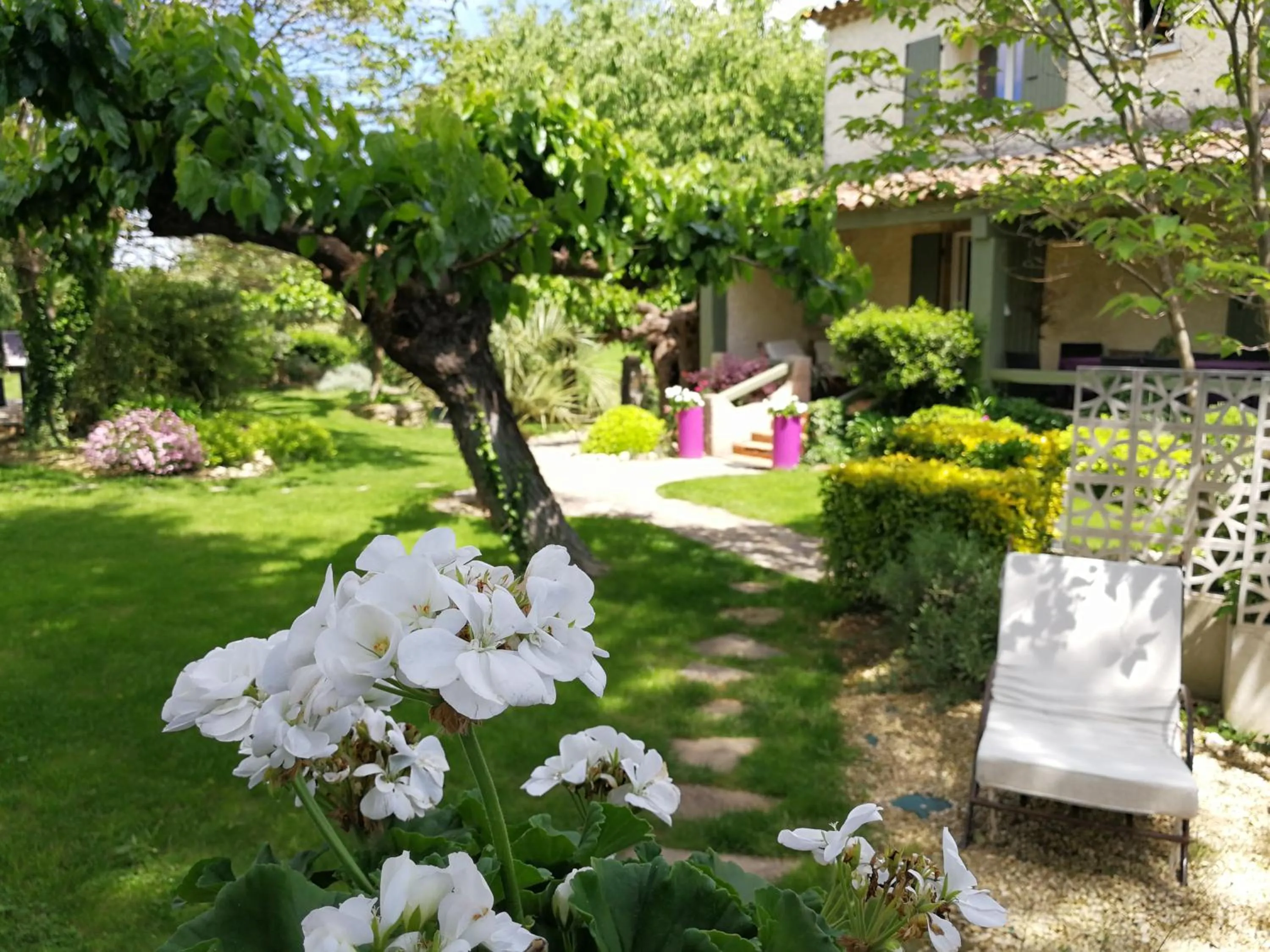 Garden in La Bastide des Mûriers