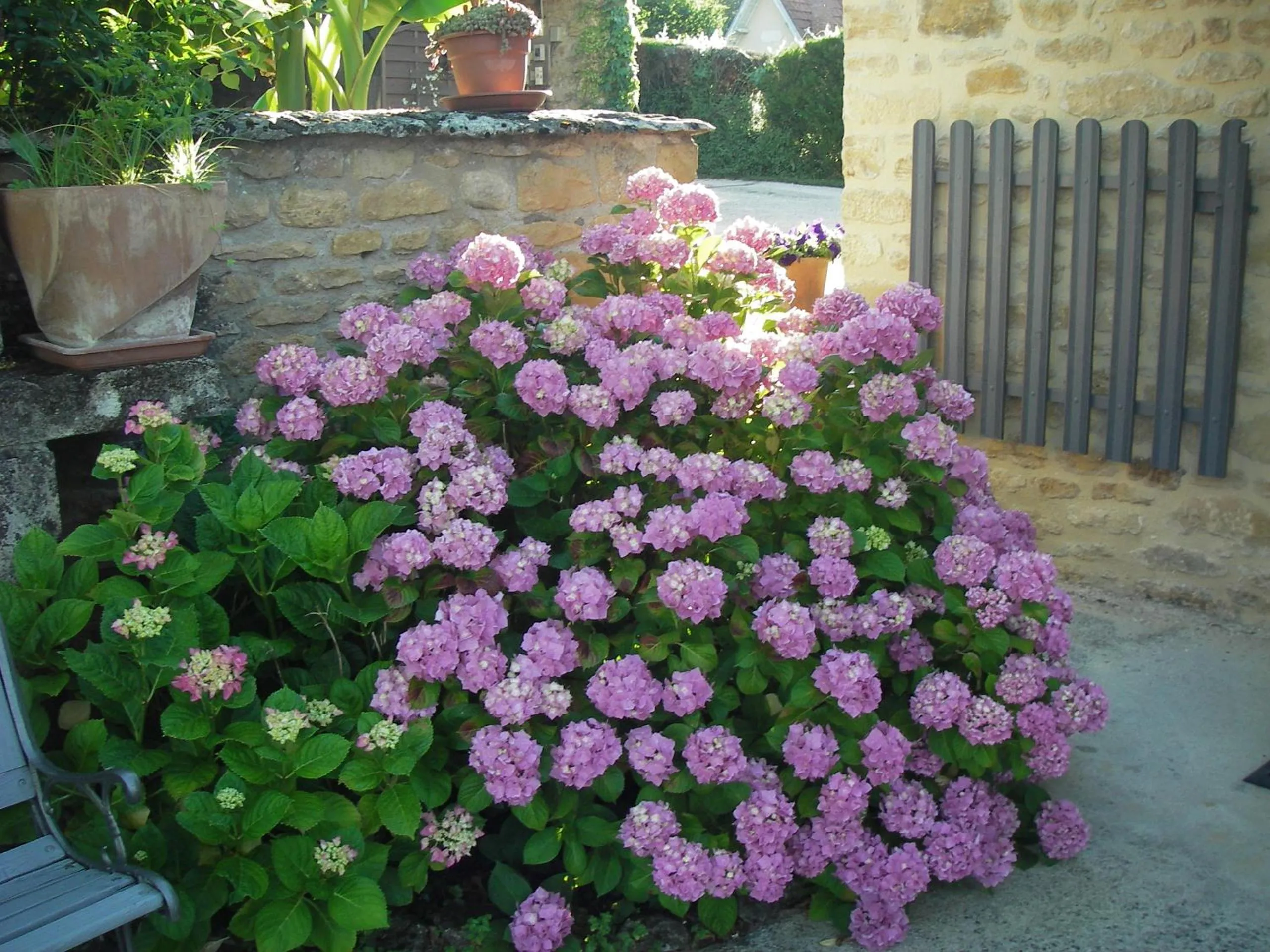 Garden in Les 4 Saisons