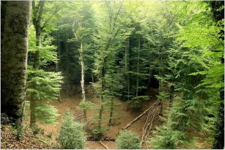 Spring in Casa Natura Gargano