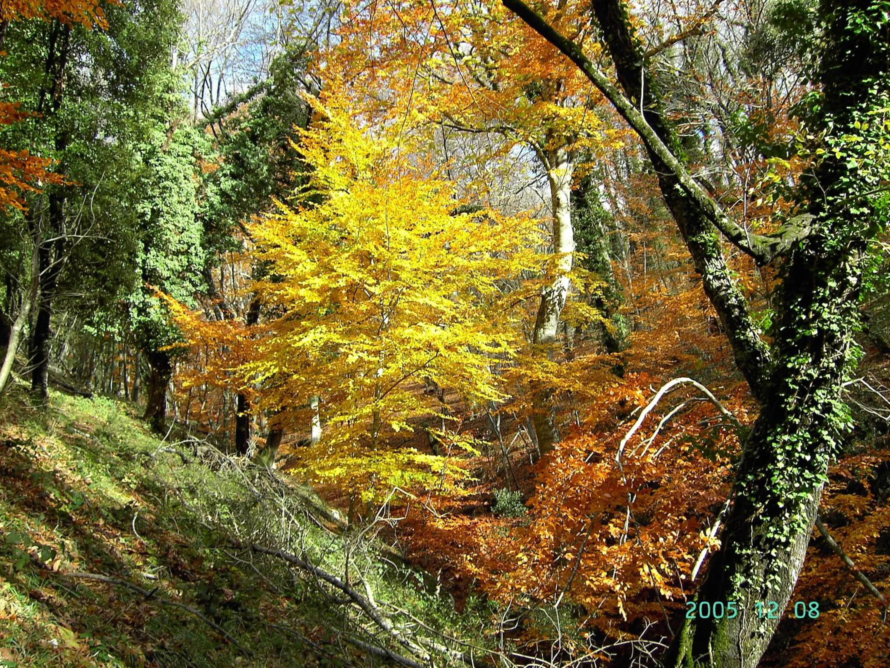 Day in Casa Natura Gargano