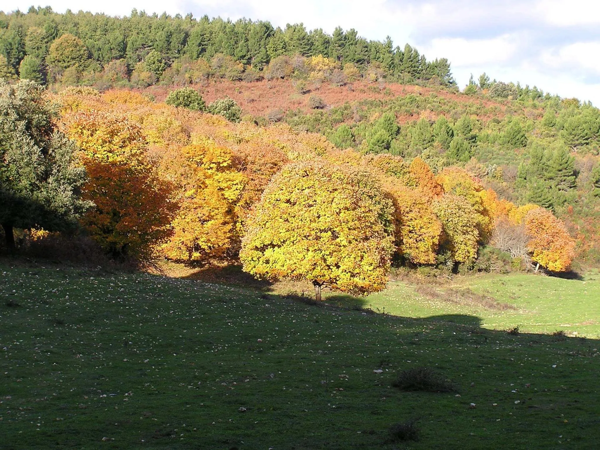 Day in Casa Natura Gargano