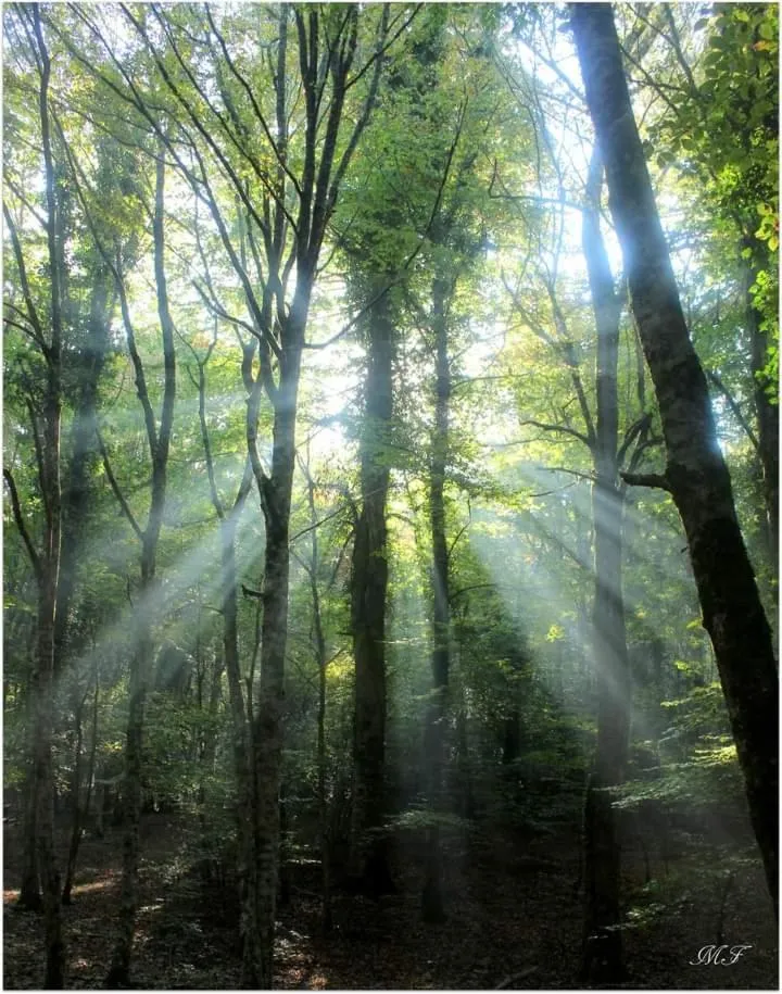 Spring in Casa Natura Gargano