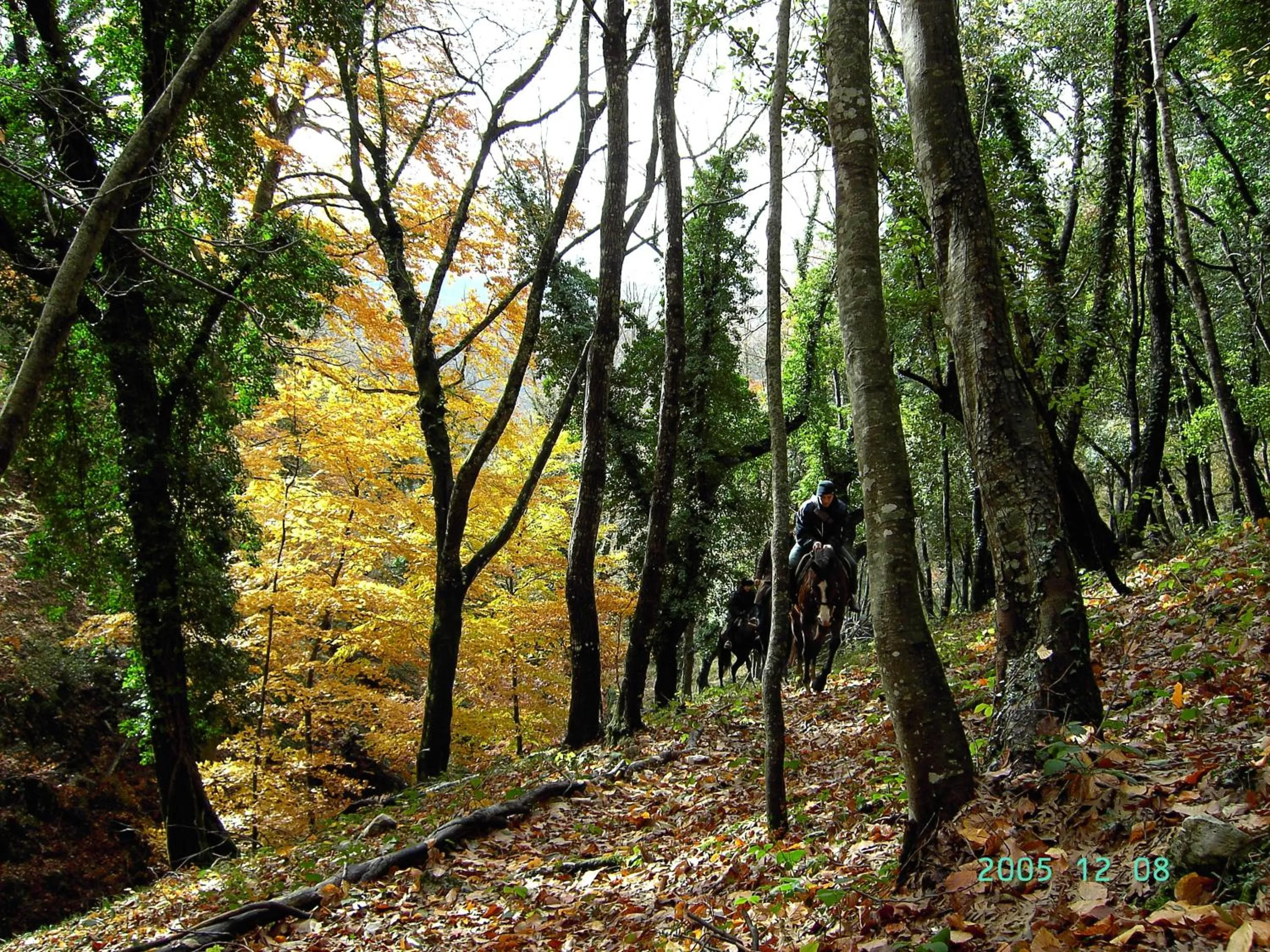 Day in Casa Natura Gargano