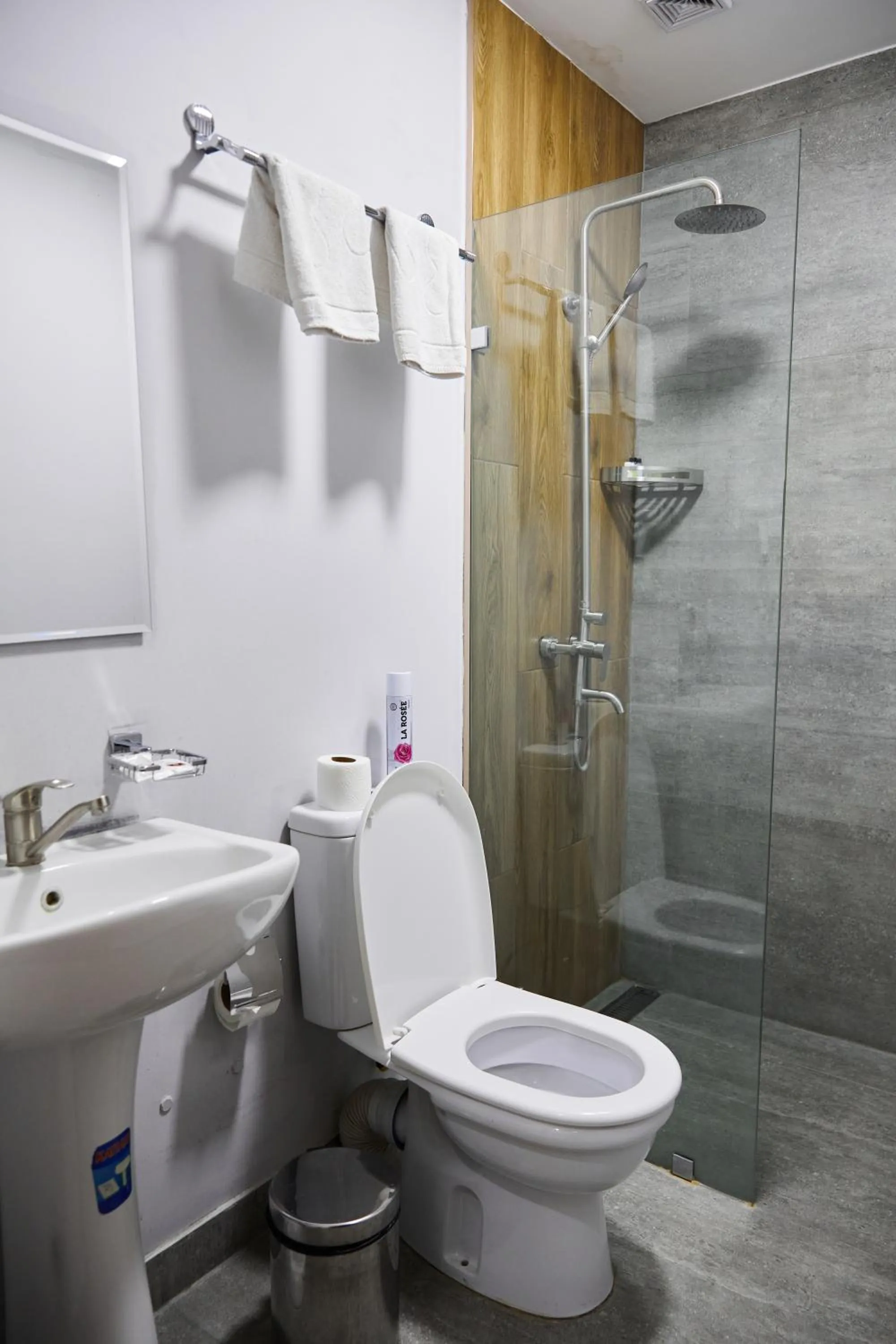 Shower in Art Plaza Hotel