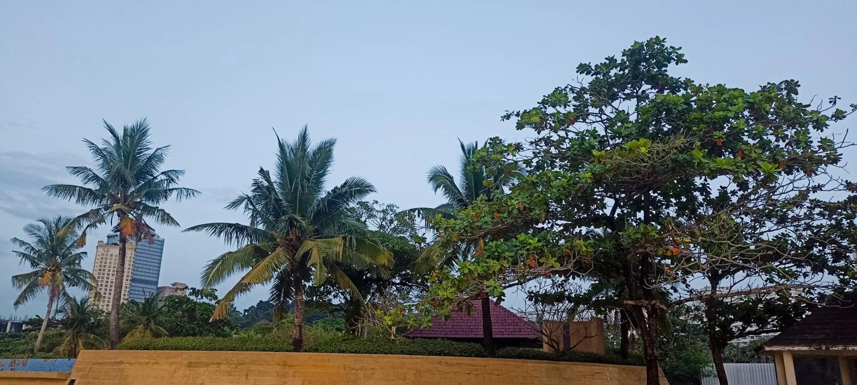 Beach in Hawaii Lounge