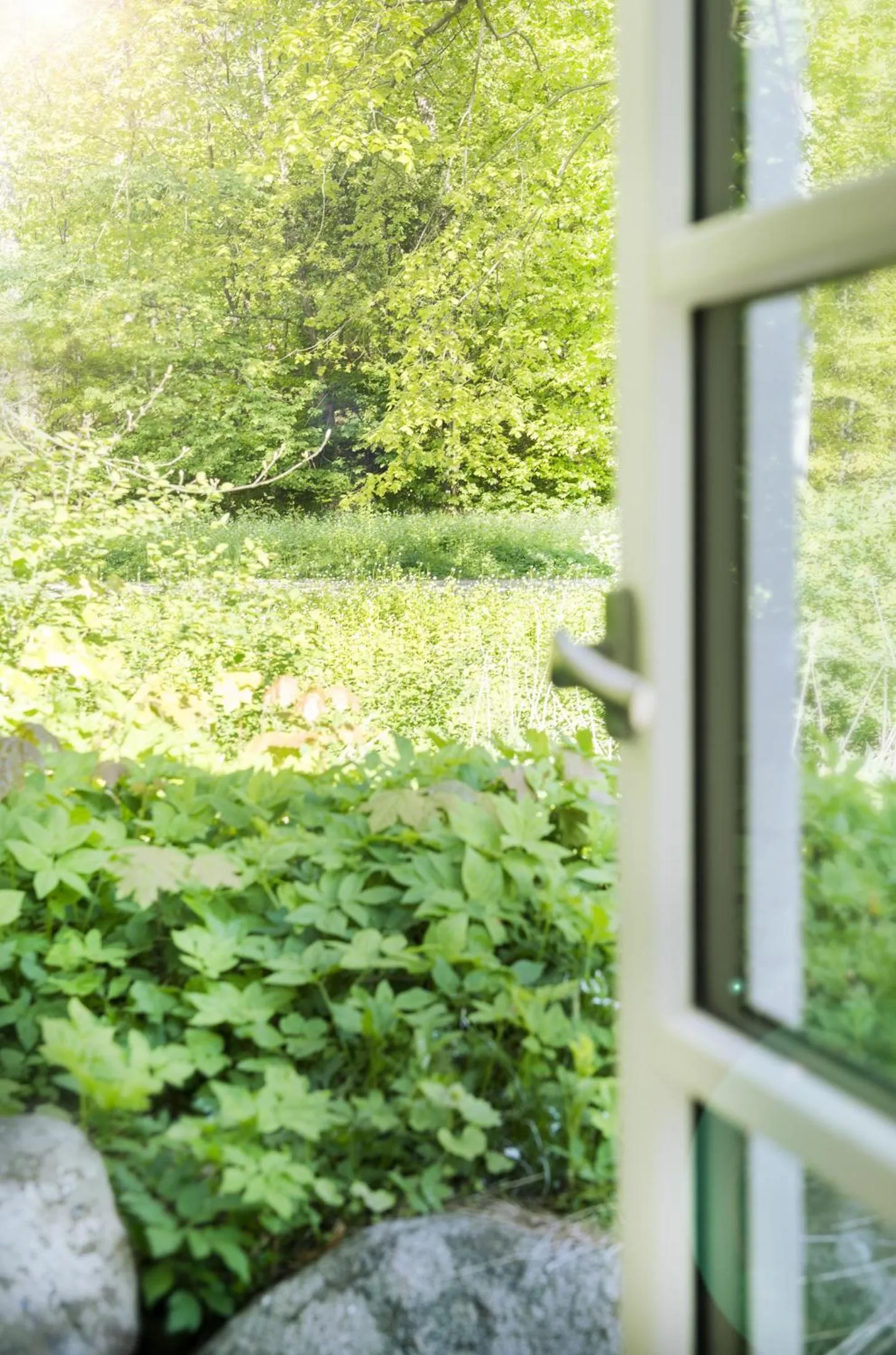 Garden view in Hotel Villa Brinkly