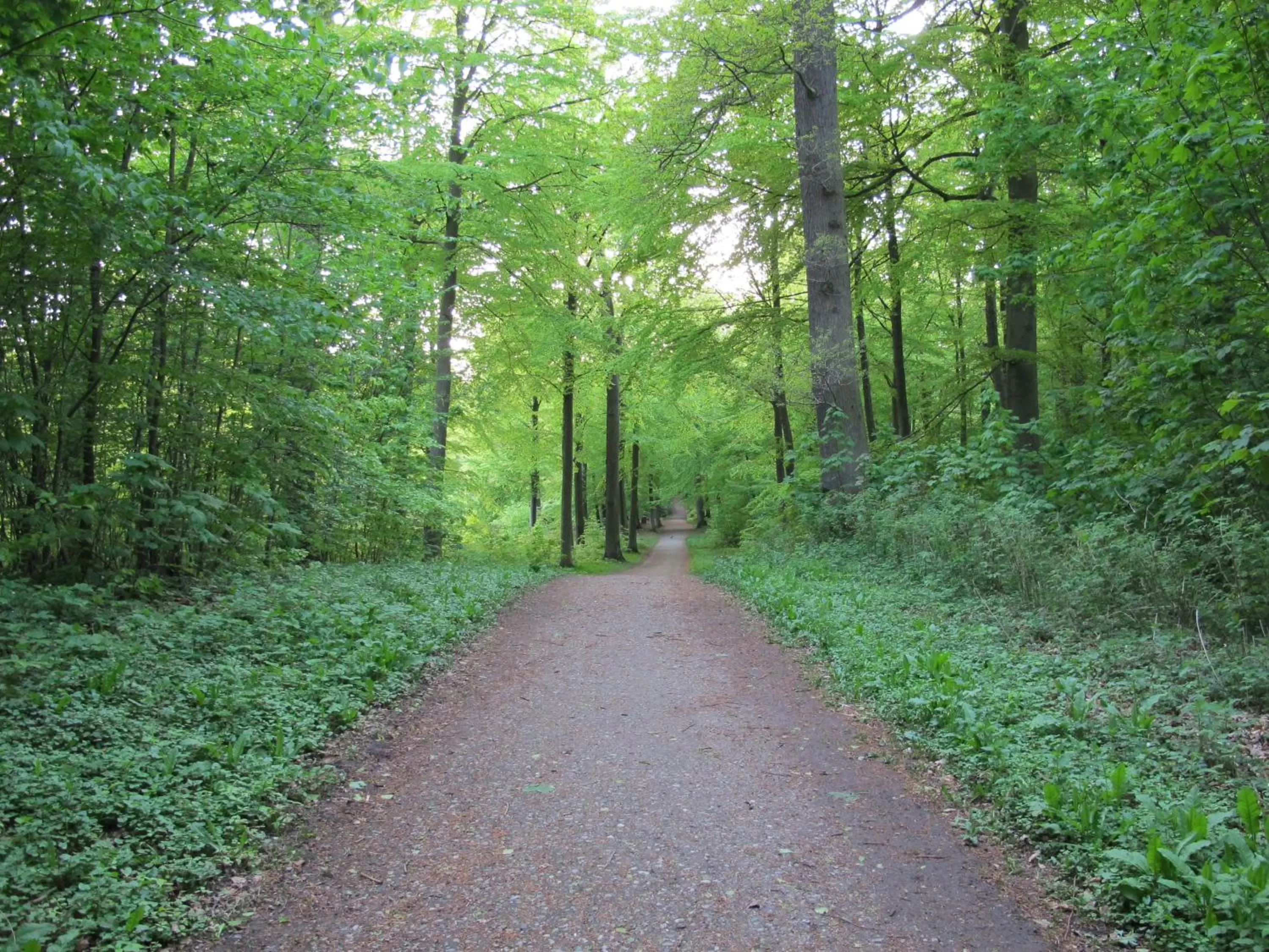 Day in Hotel Villa Brinkly