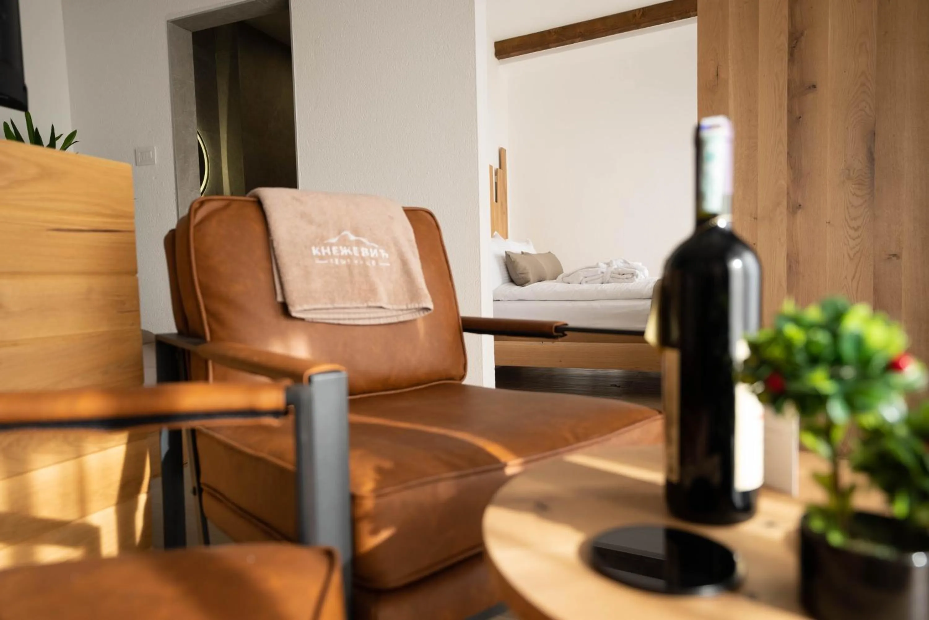 Living room in Zemunice Knezevic