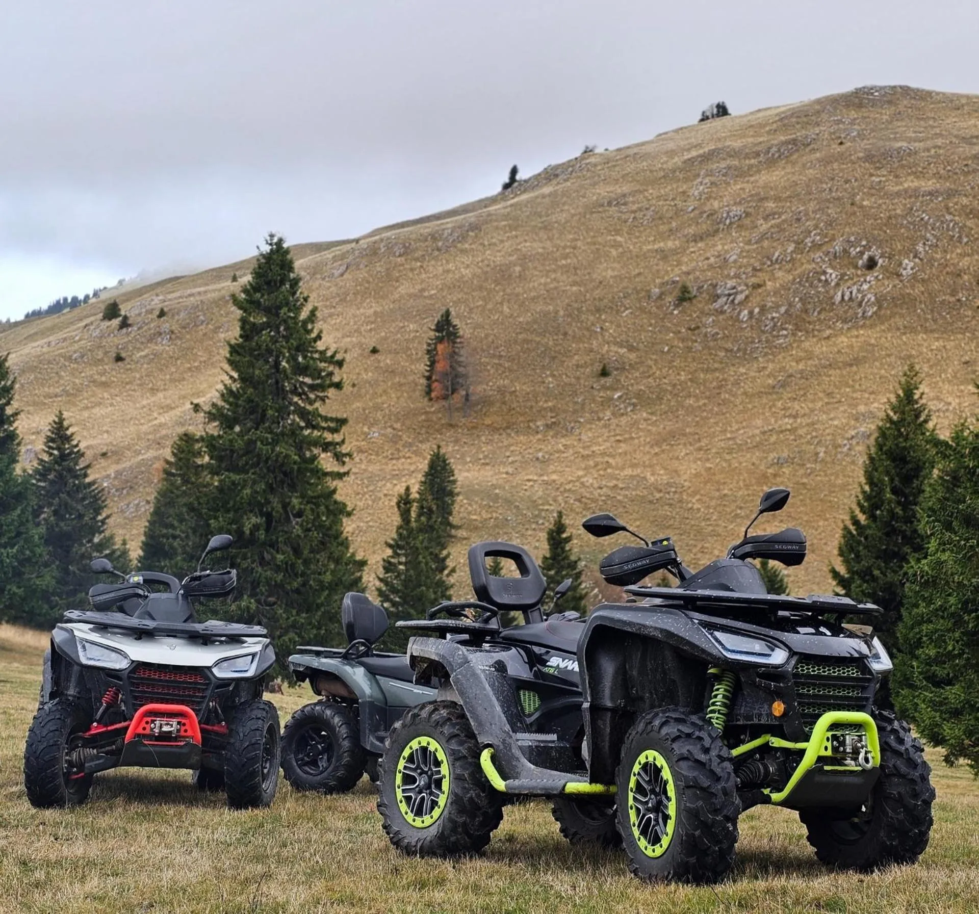 Activities in Zemunice Knezevic