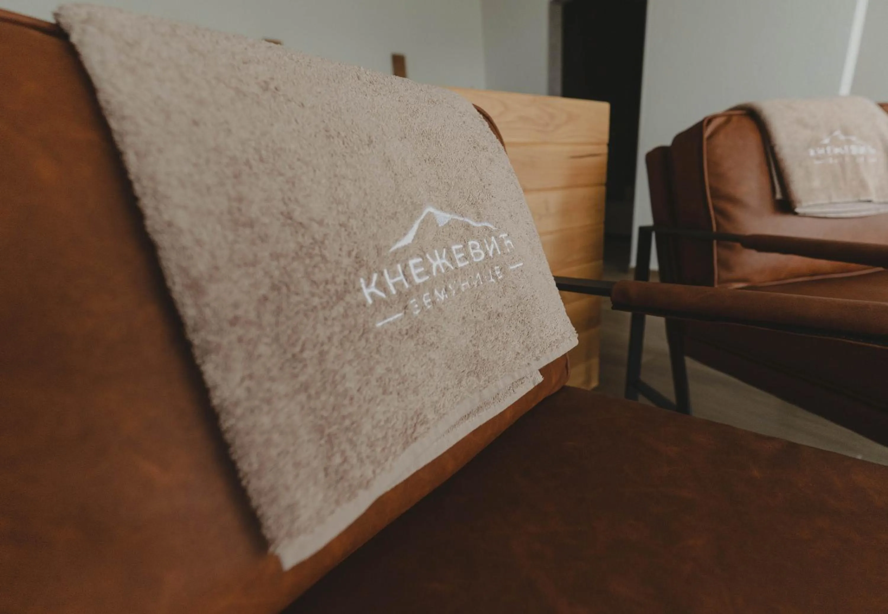 Living room in Zemunice Knezevic