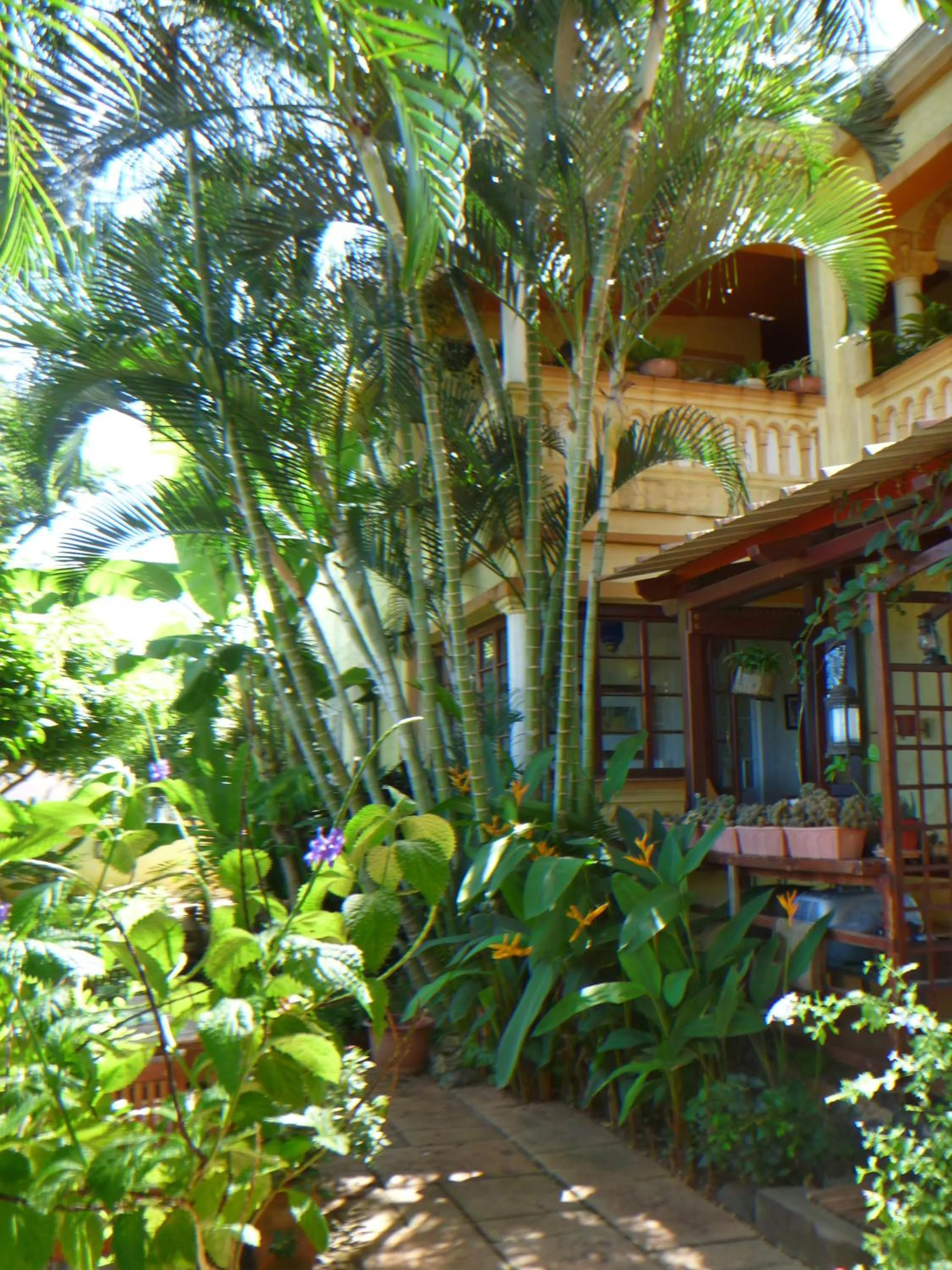 Property building in La Reine Creole