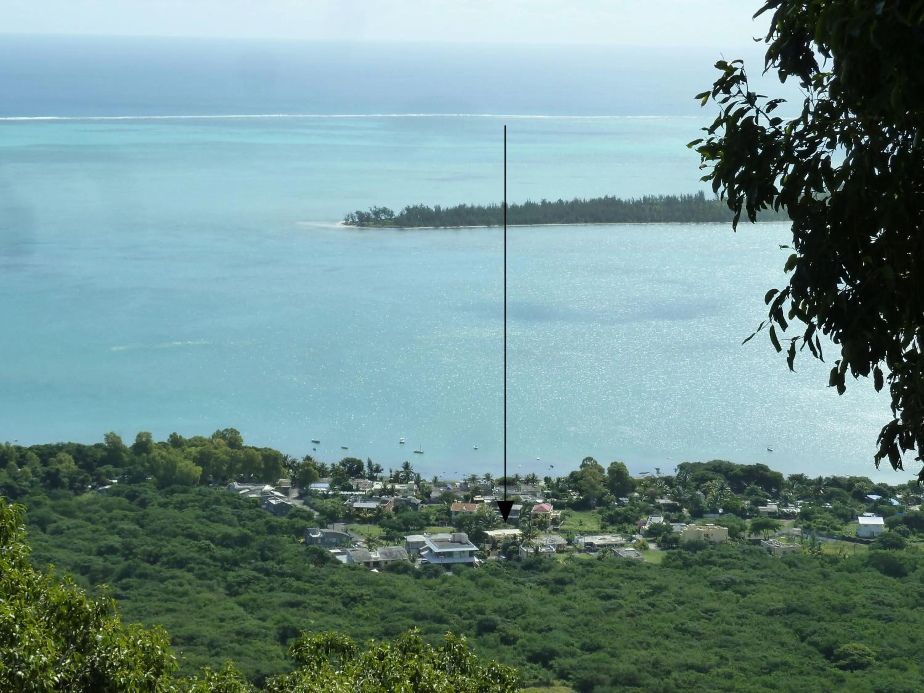 Bird's eye view in La Reine Creole
