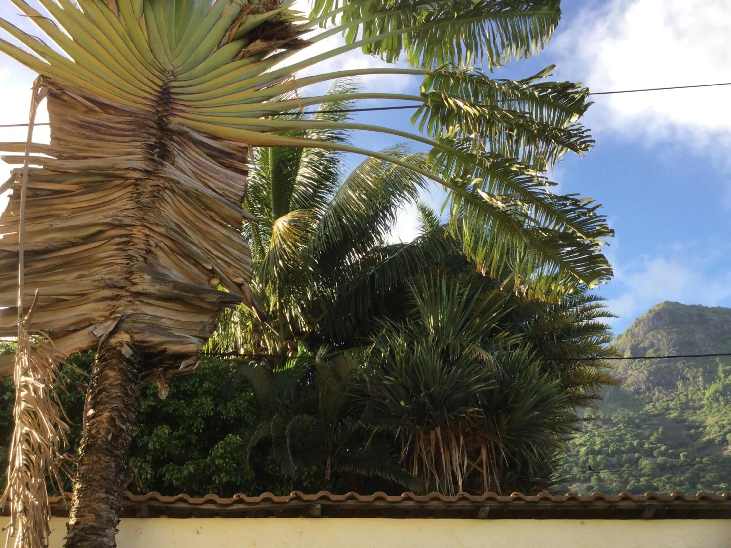 Garden view in La Reine Creole