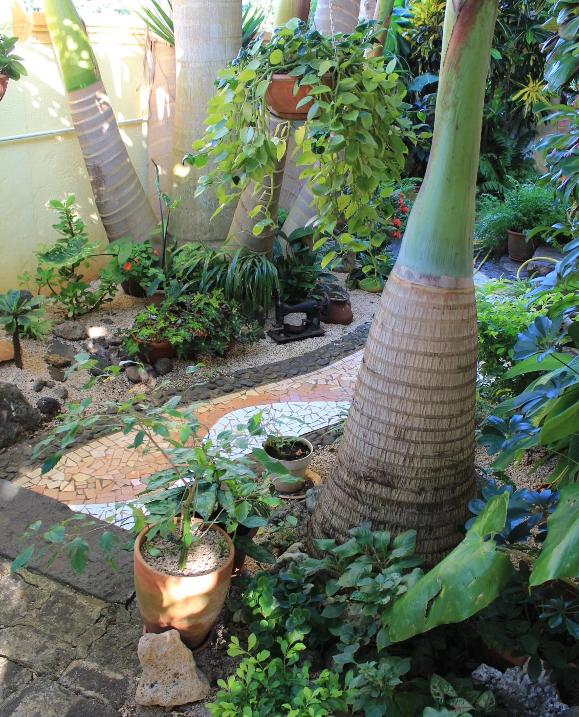 Garden view in La Reine Creole