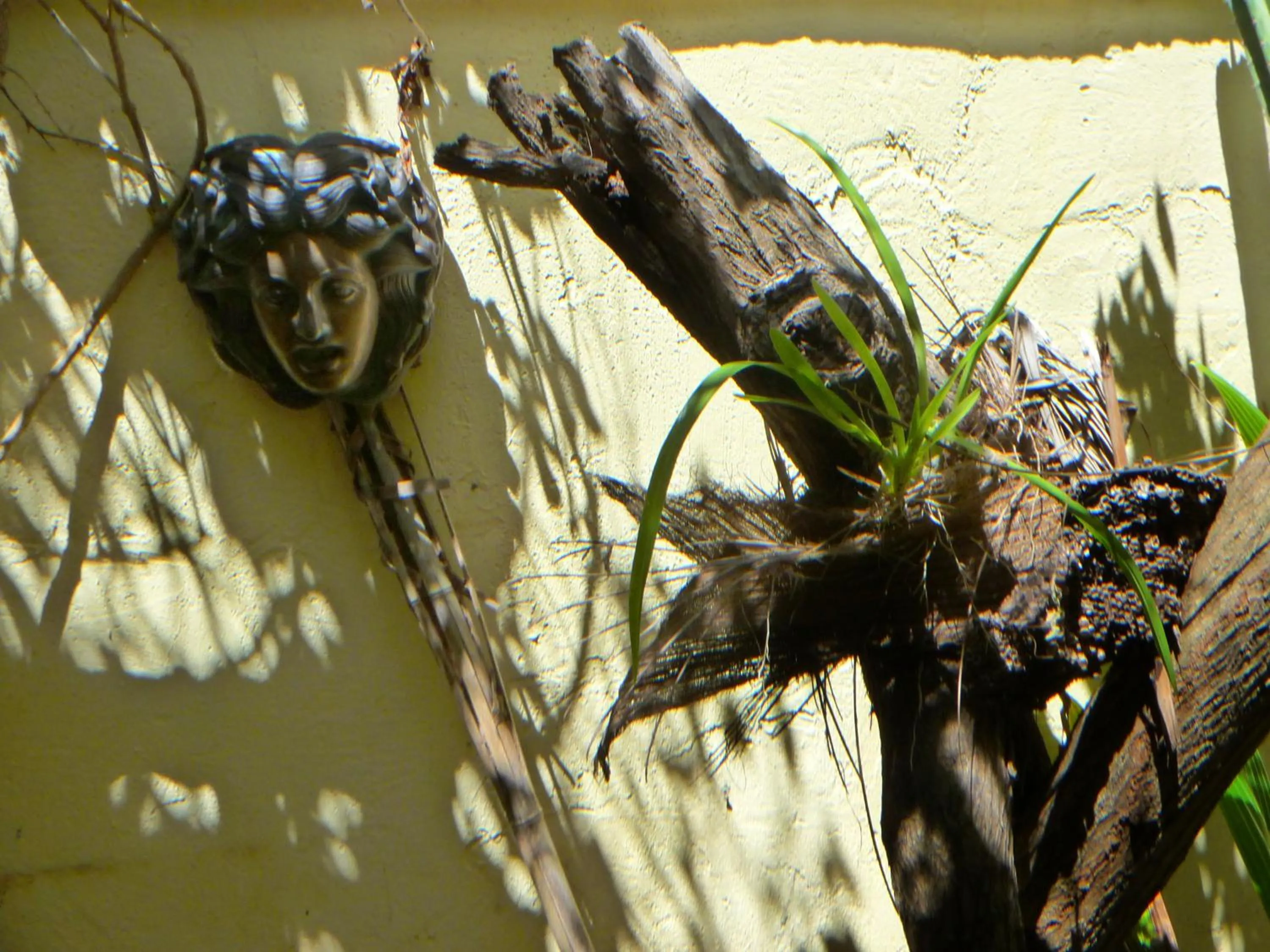 Facade/entrance in La Reine Creole