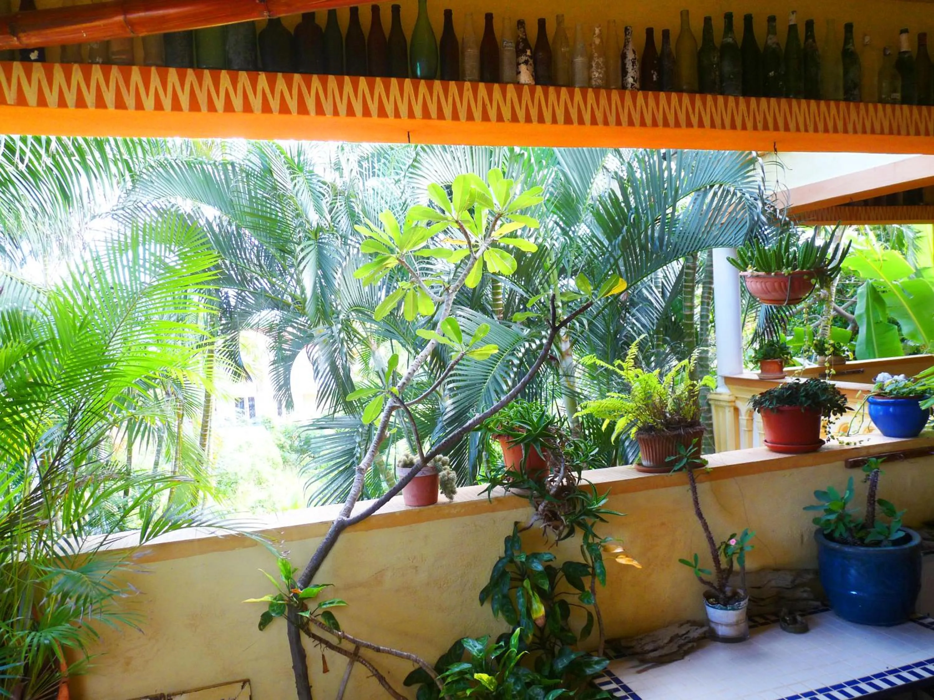 Garden view in La Reine Creole