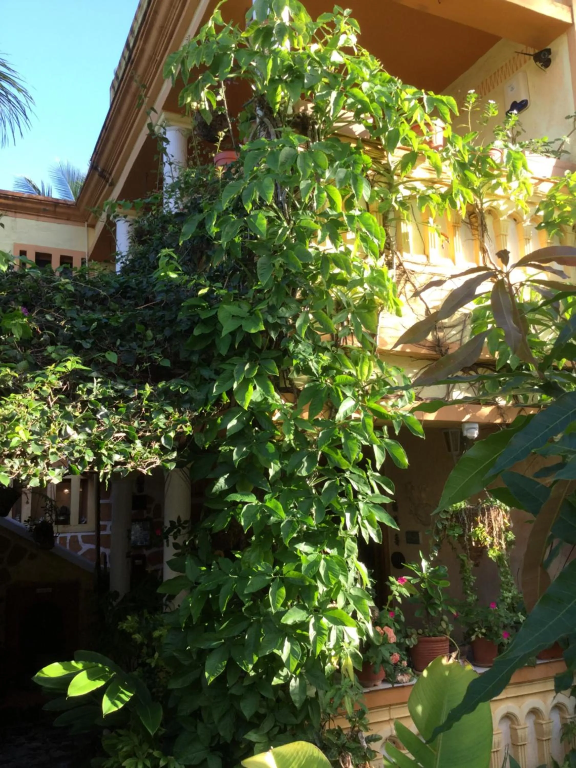 Facade/entrance in La Reine Creole