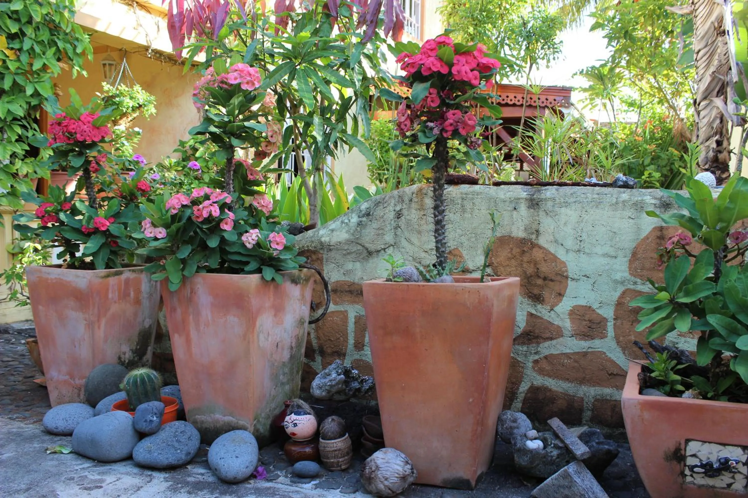 Garden in La Reine Creole