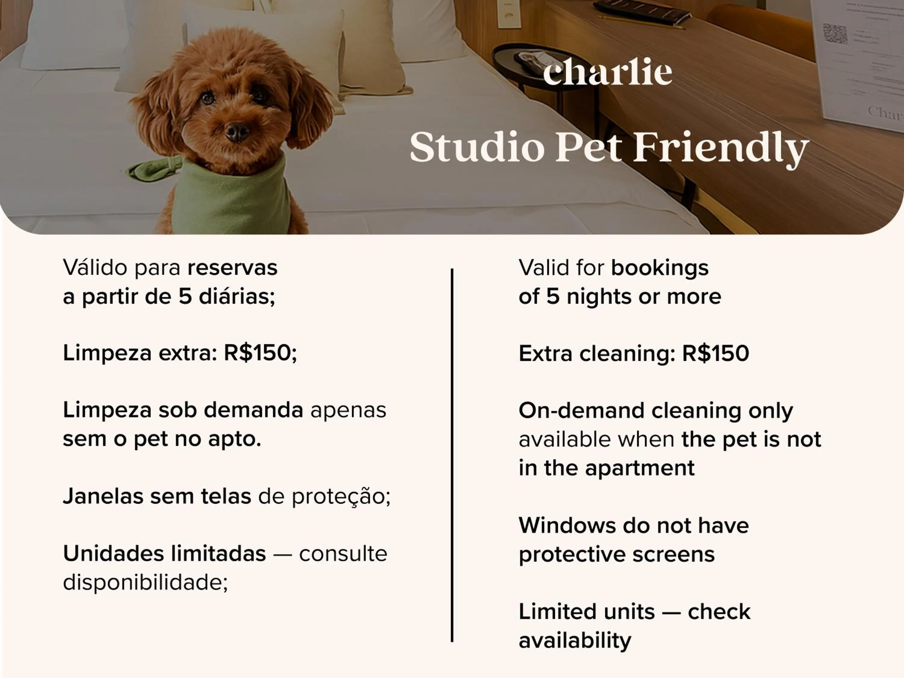 Text overlay in House of Charlie Paraiso