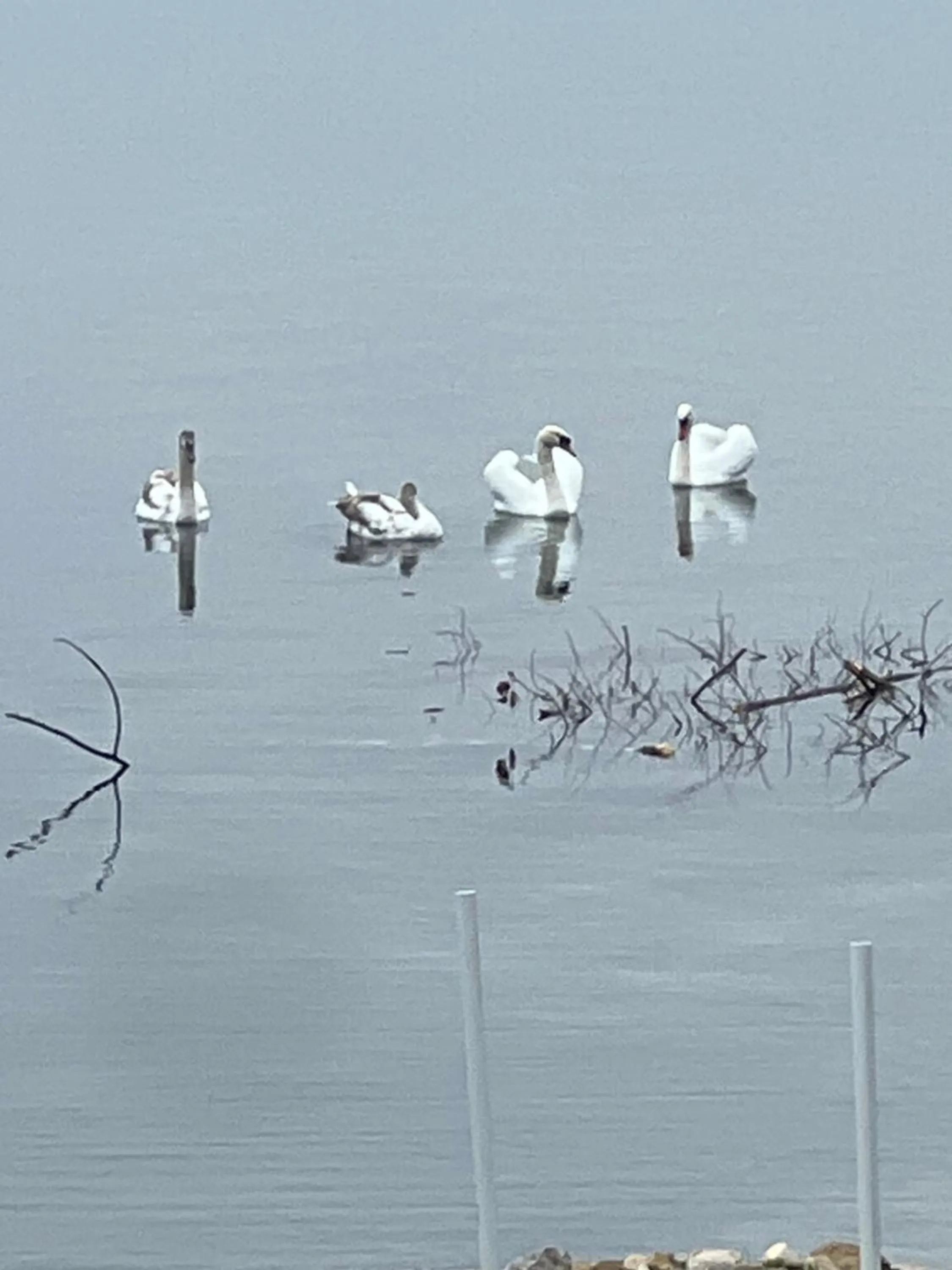 N' This on the Bay -Vacation Suite