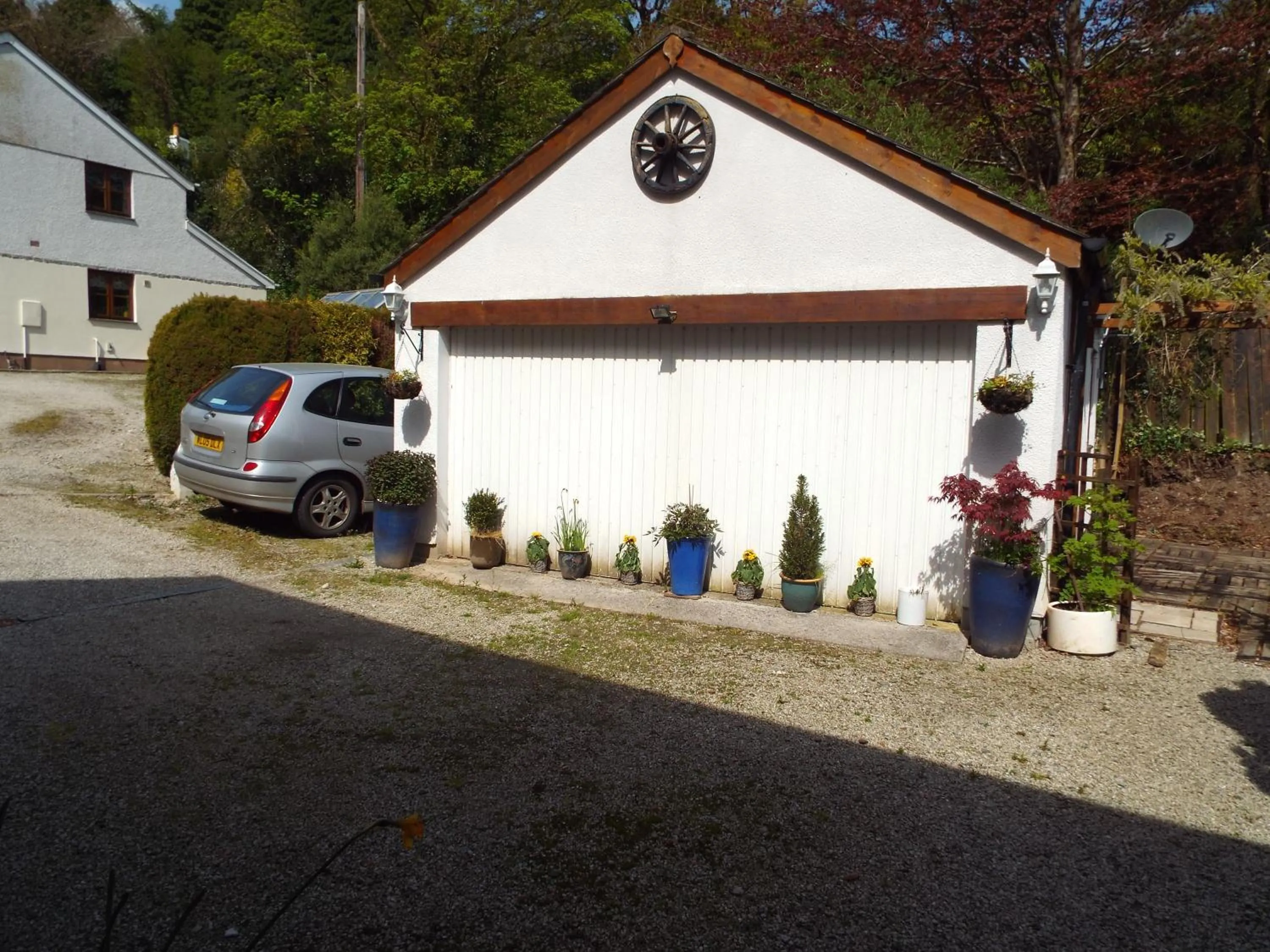 Decorative detail in Woodpeckers