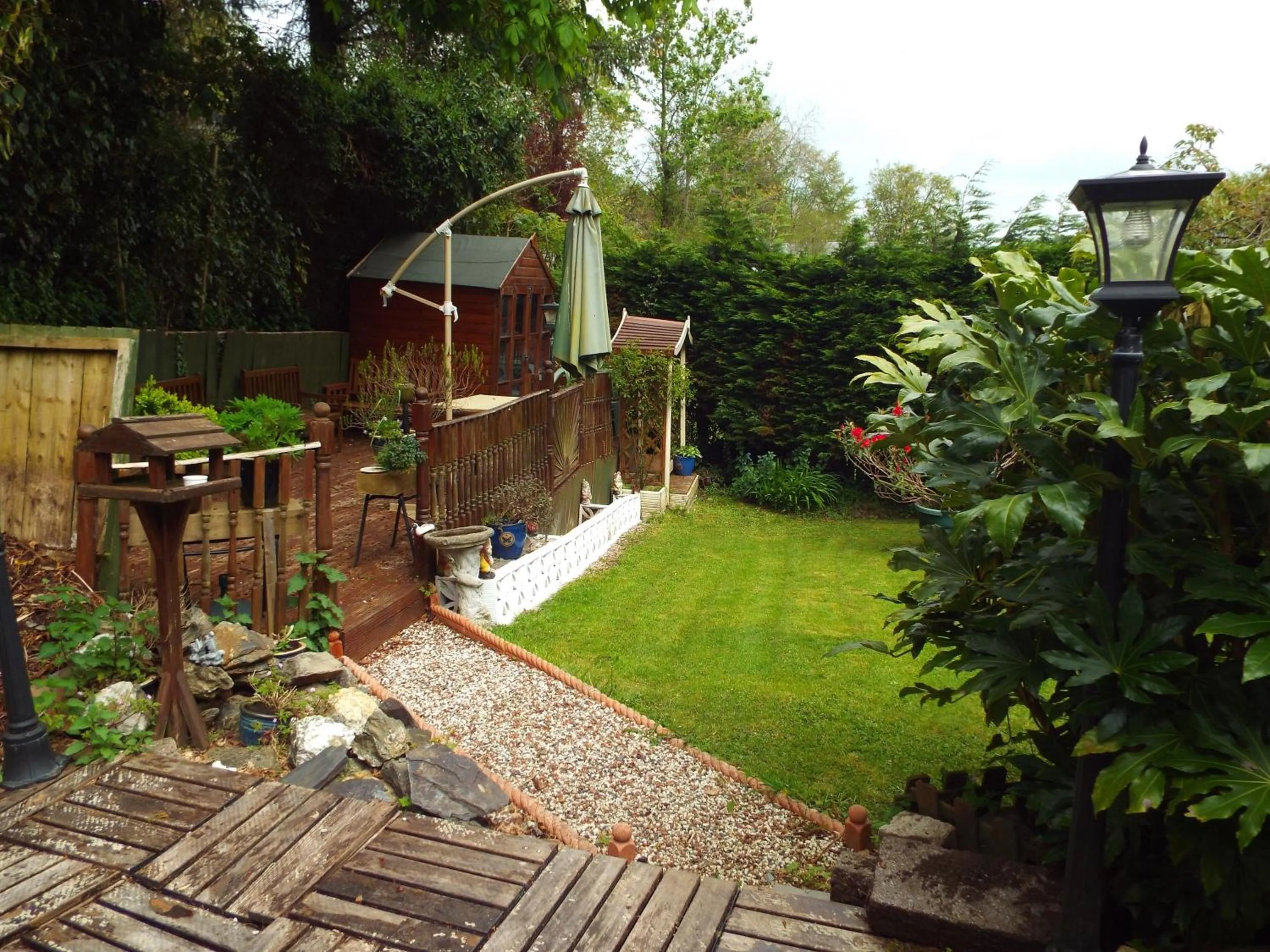 Garden in Woodpeckers