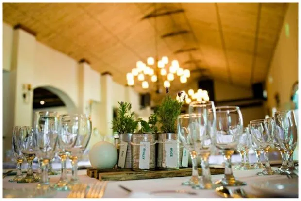 wedding in Ongegund Lodge