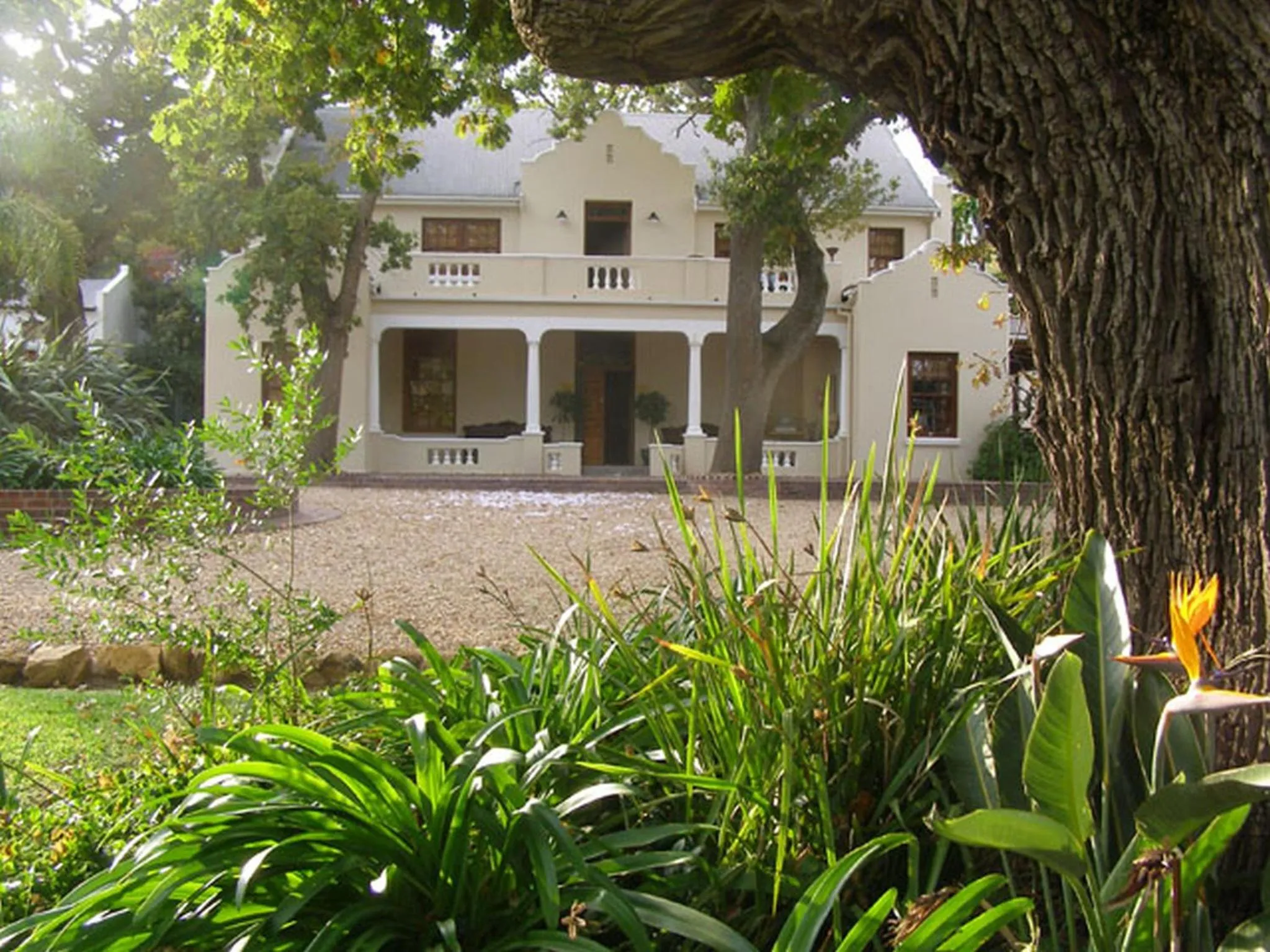 Garden view in Ongegund Lodge