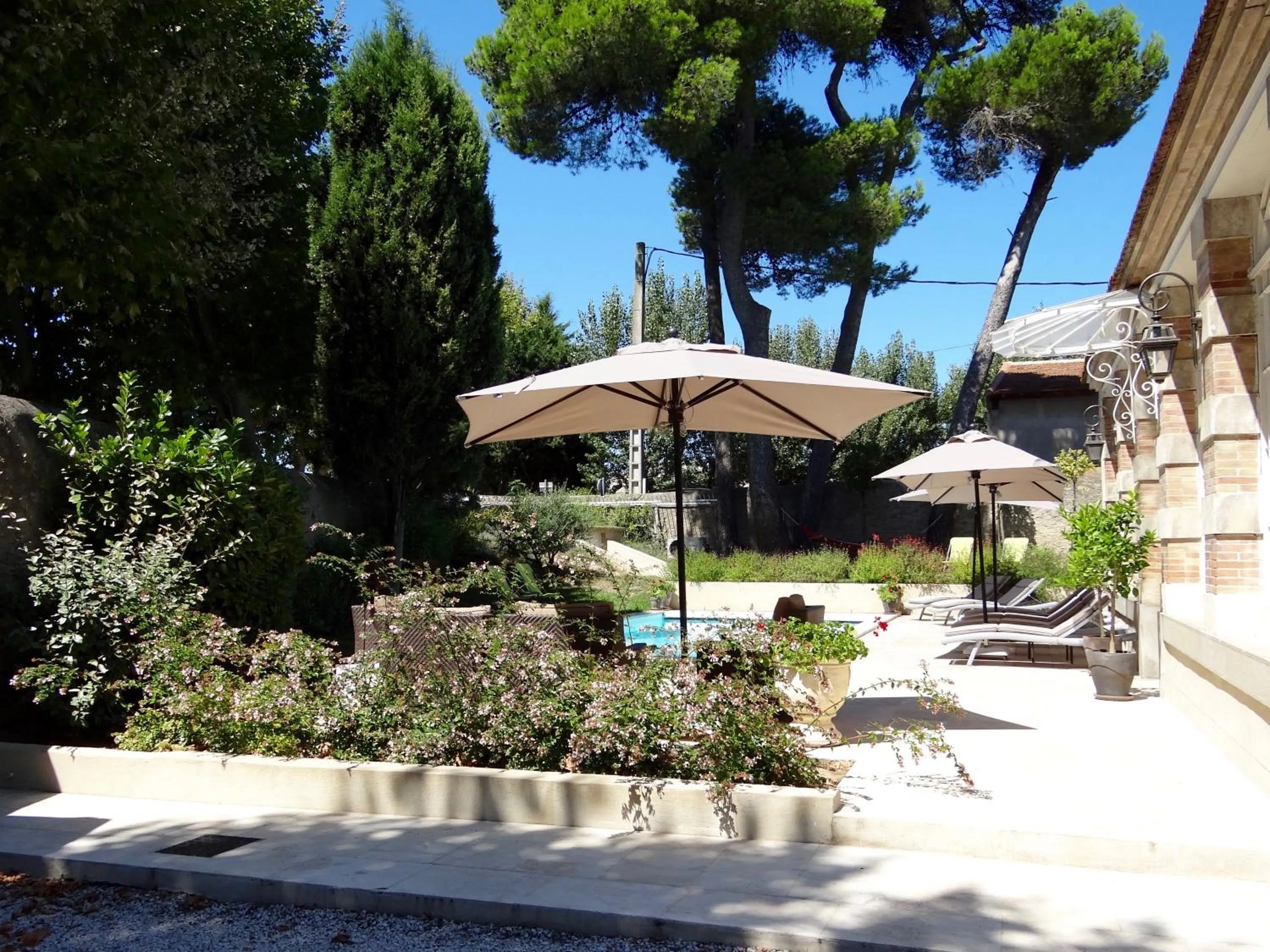 Garden, Swimming Pool in Bed & Breakfast L'Orangerie