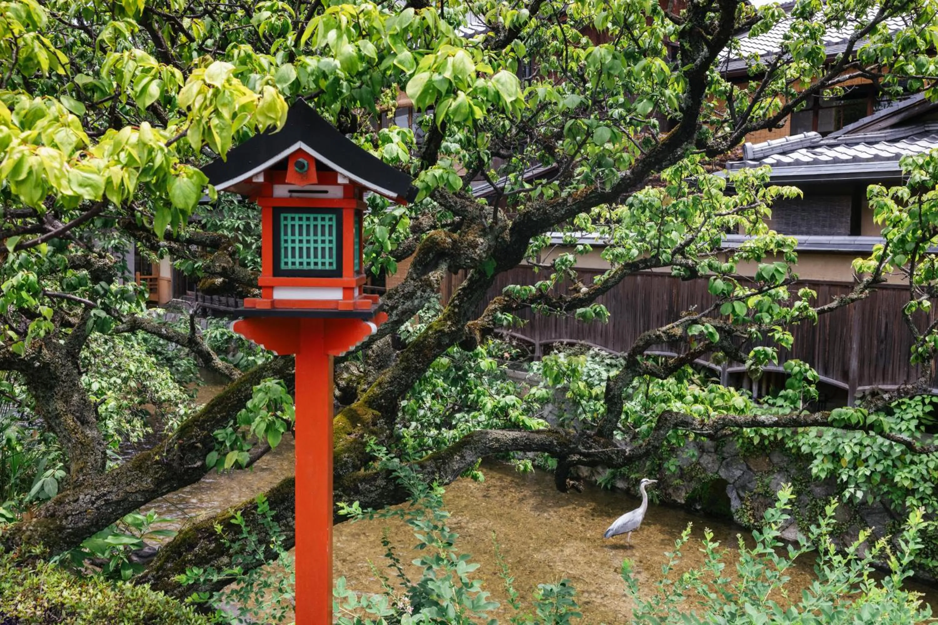 Day in Six Senses Kyoto