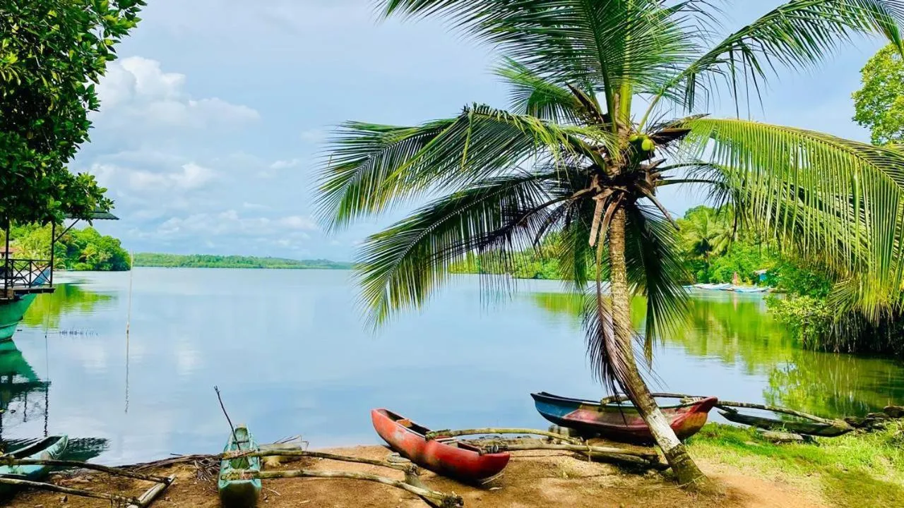 View (from property/room) in The Thotupola Habaraduwa