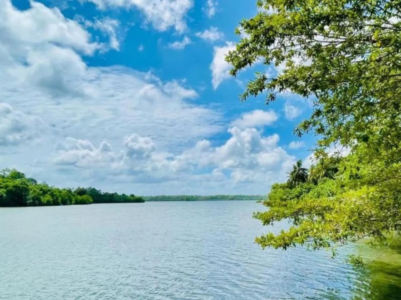 Lake view in The Thotupola Habaraduwa