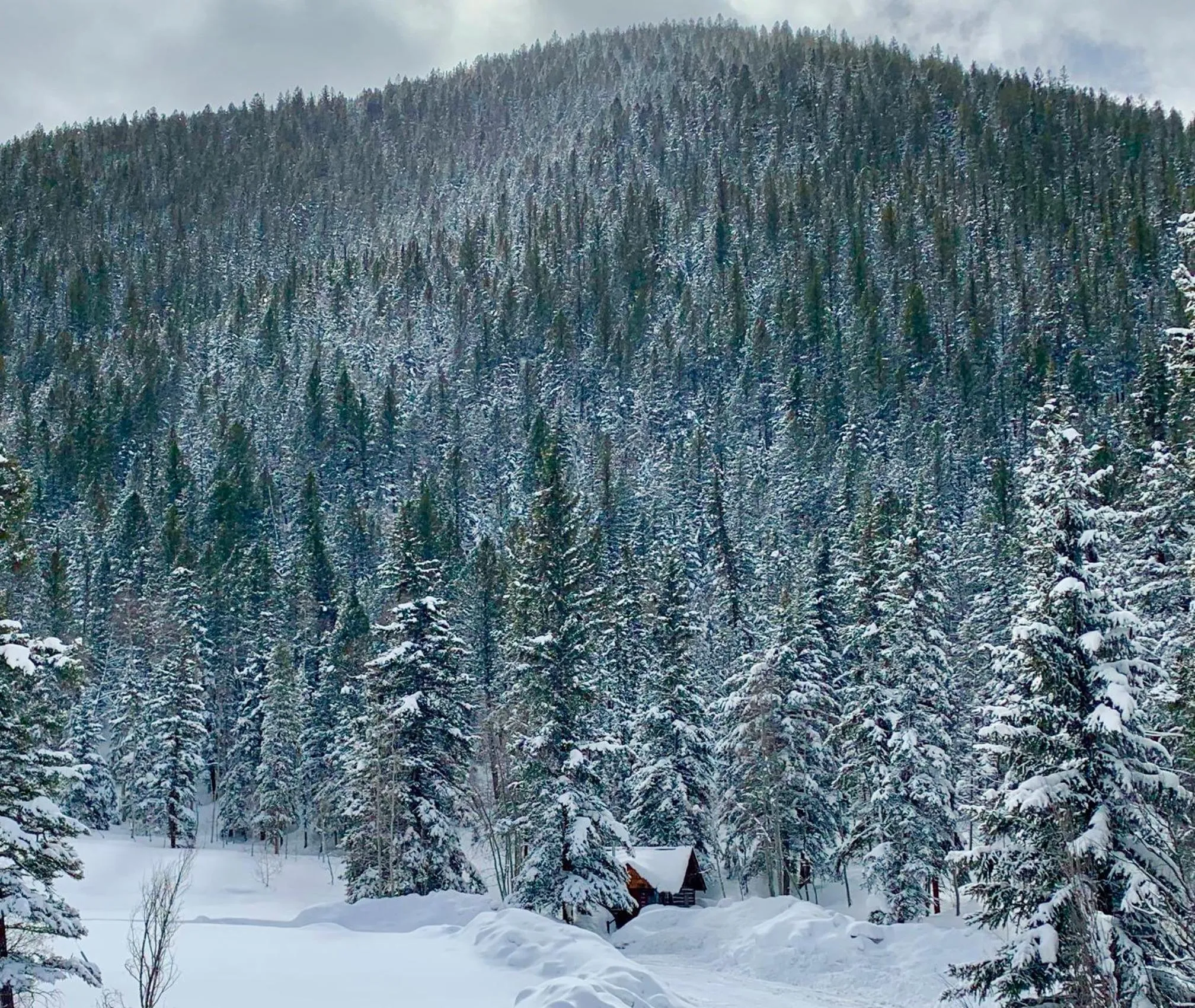 Pioneer Guest Cabins