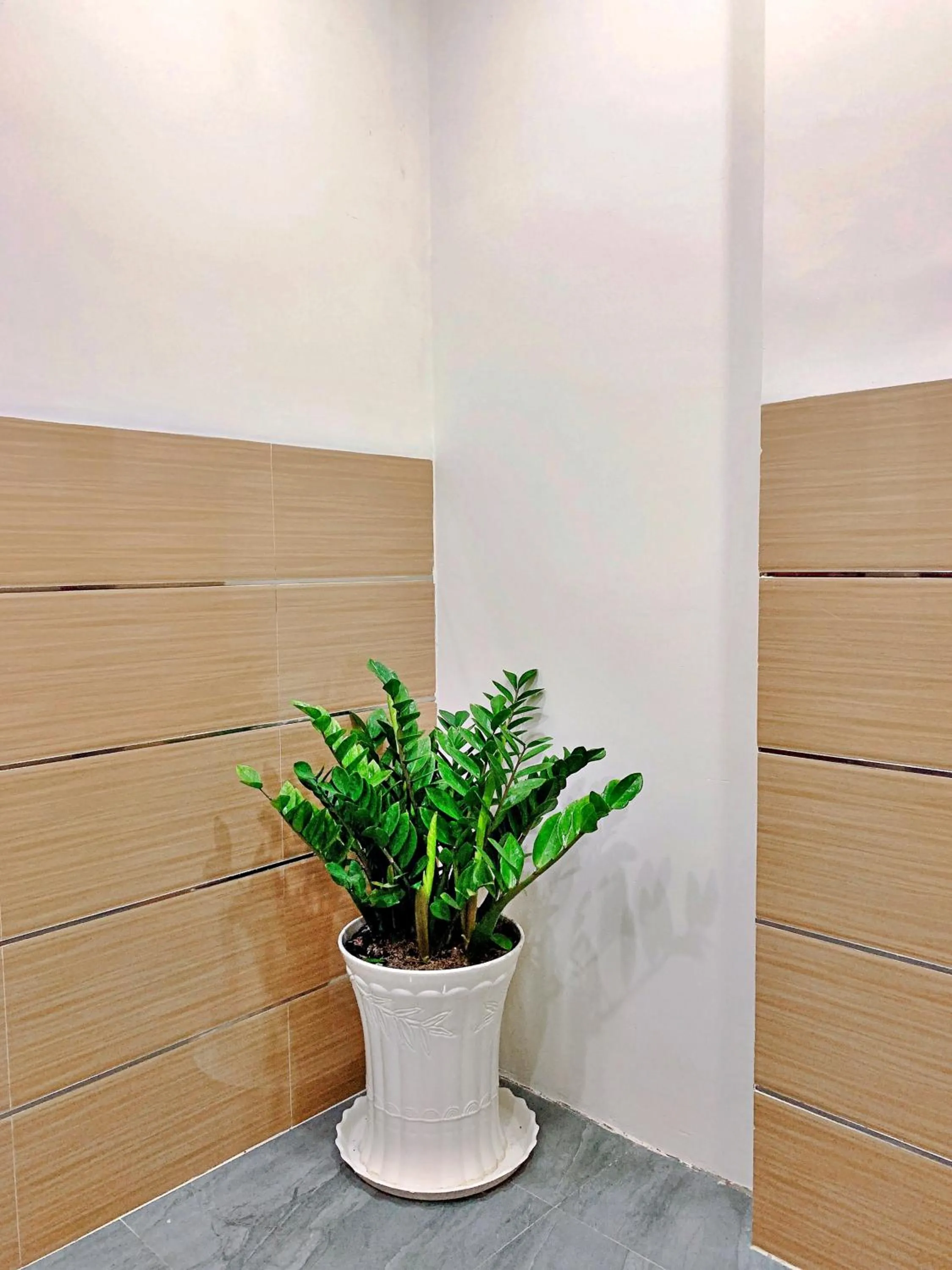 HANZ 868 Hotel Saigon