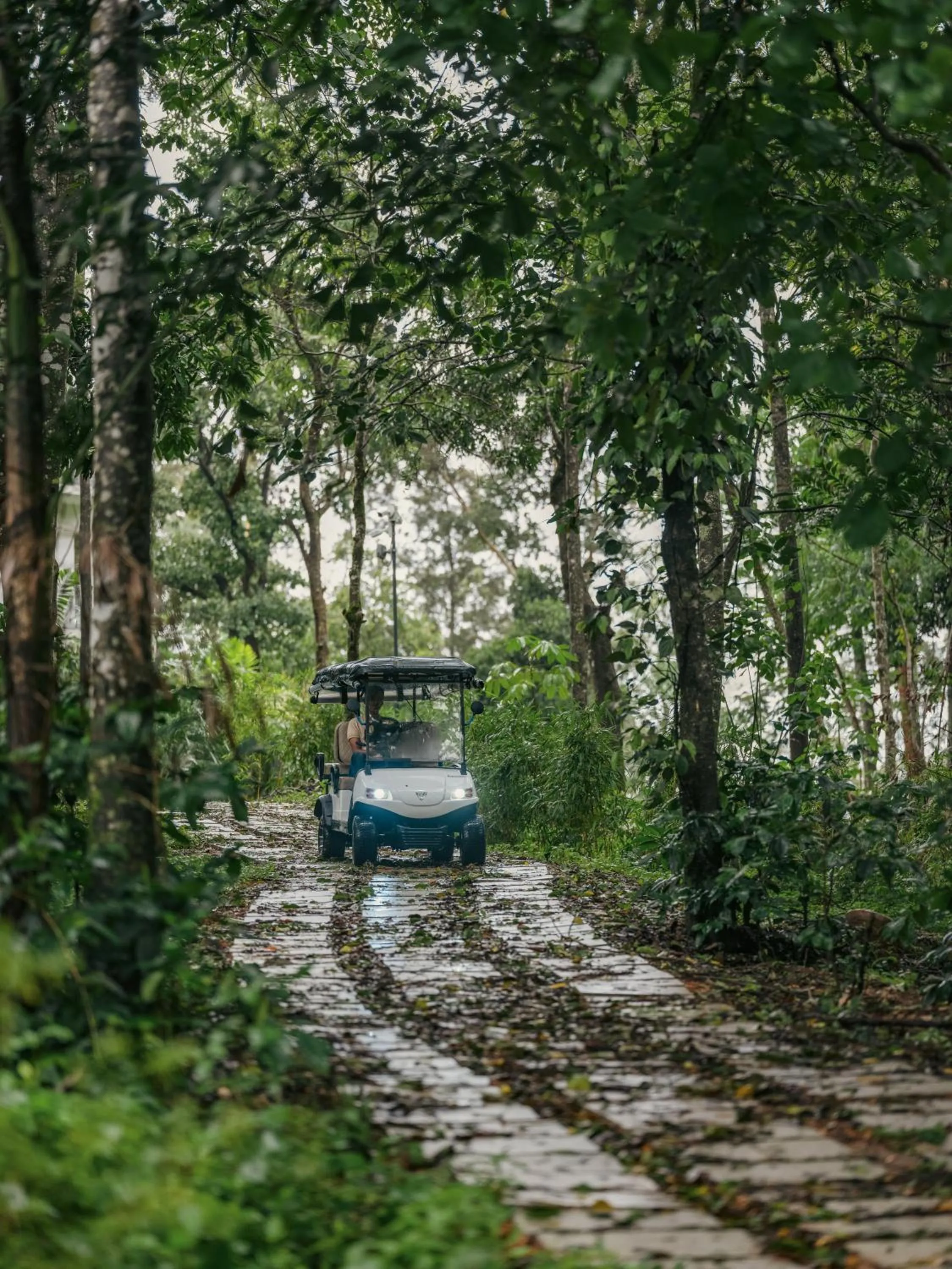 Decorative detail in Coorg Marriott Resort & Spa