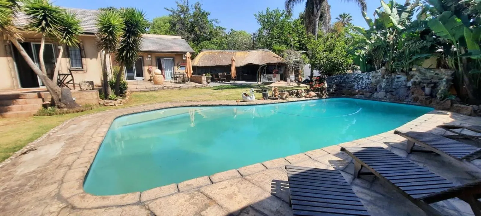 Pool view in Petra Lodge